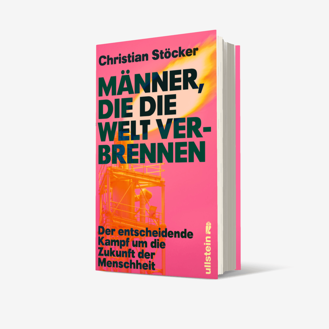 Buchcover von Männer, die die Welt verbrennen