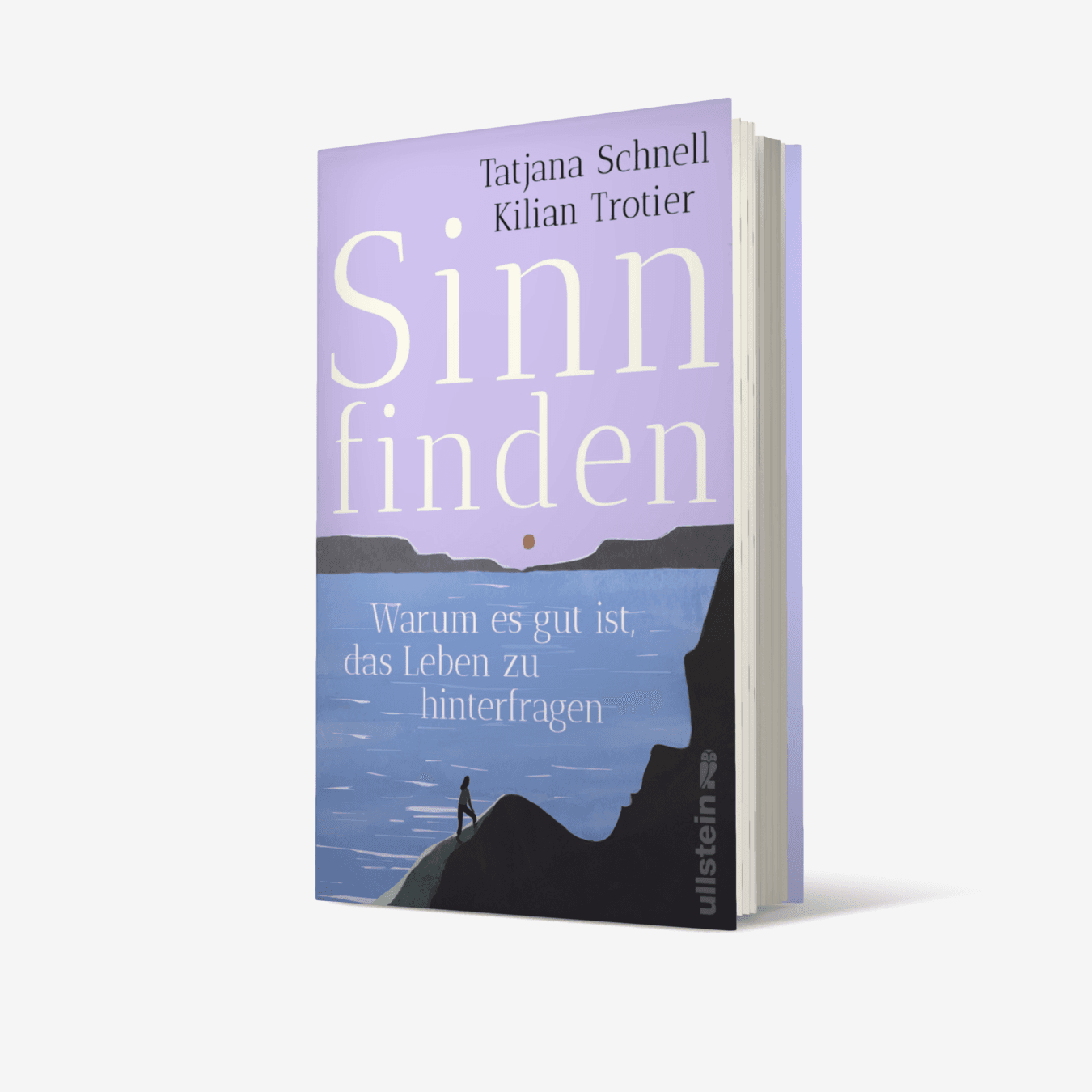 Buchcover von Sinn finden