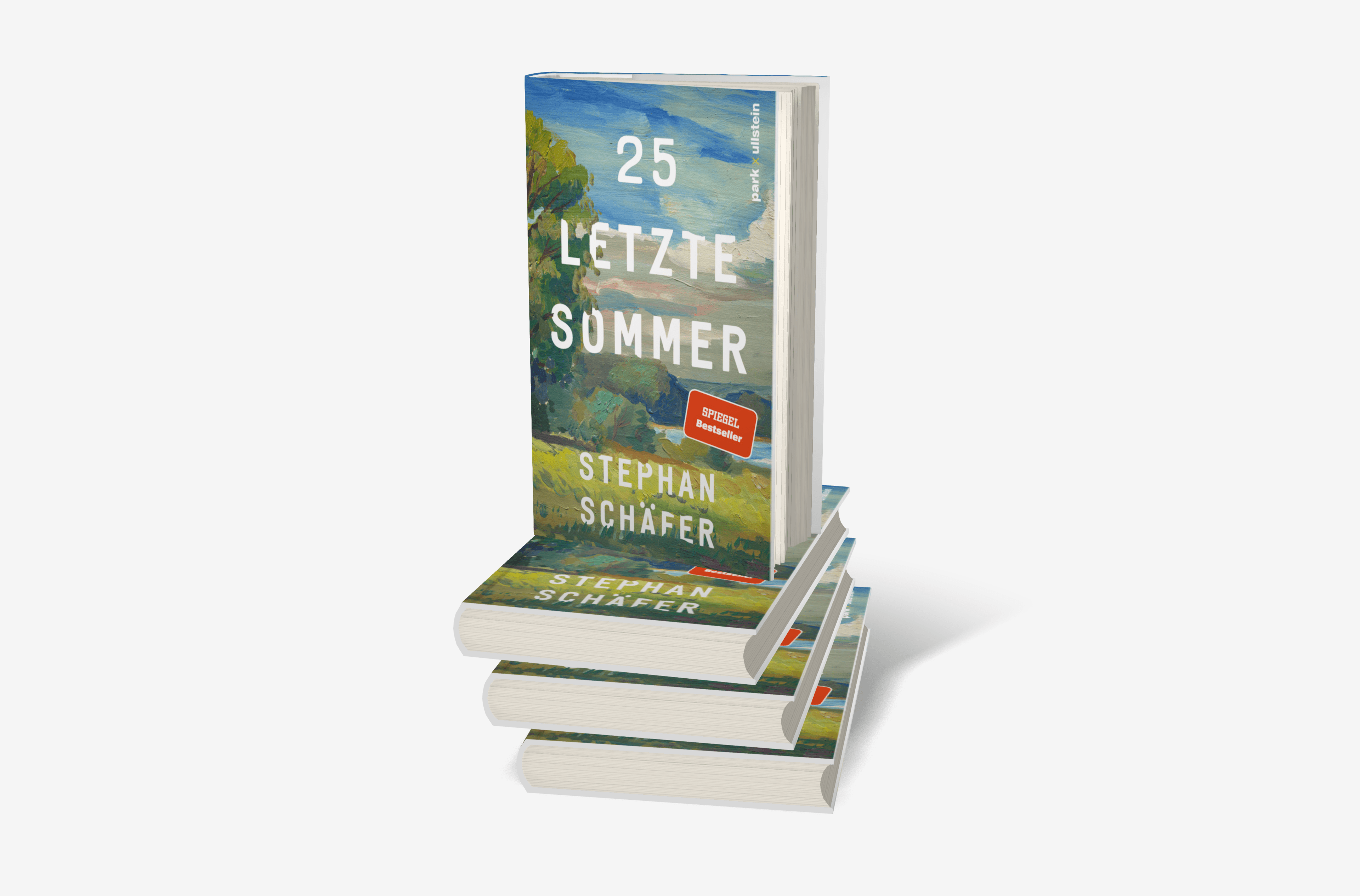 Buchcover von 25 letzte Sommer