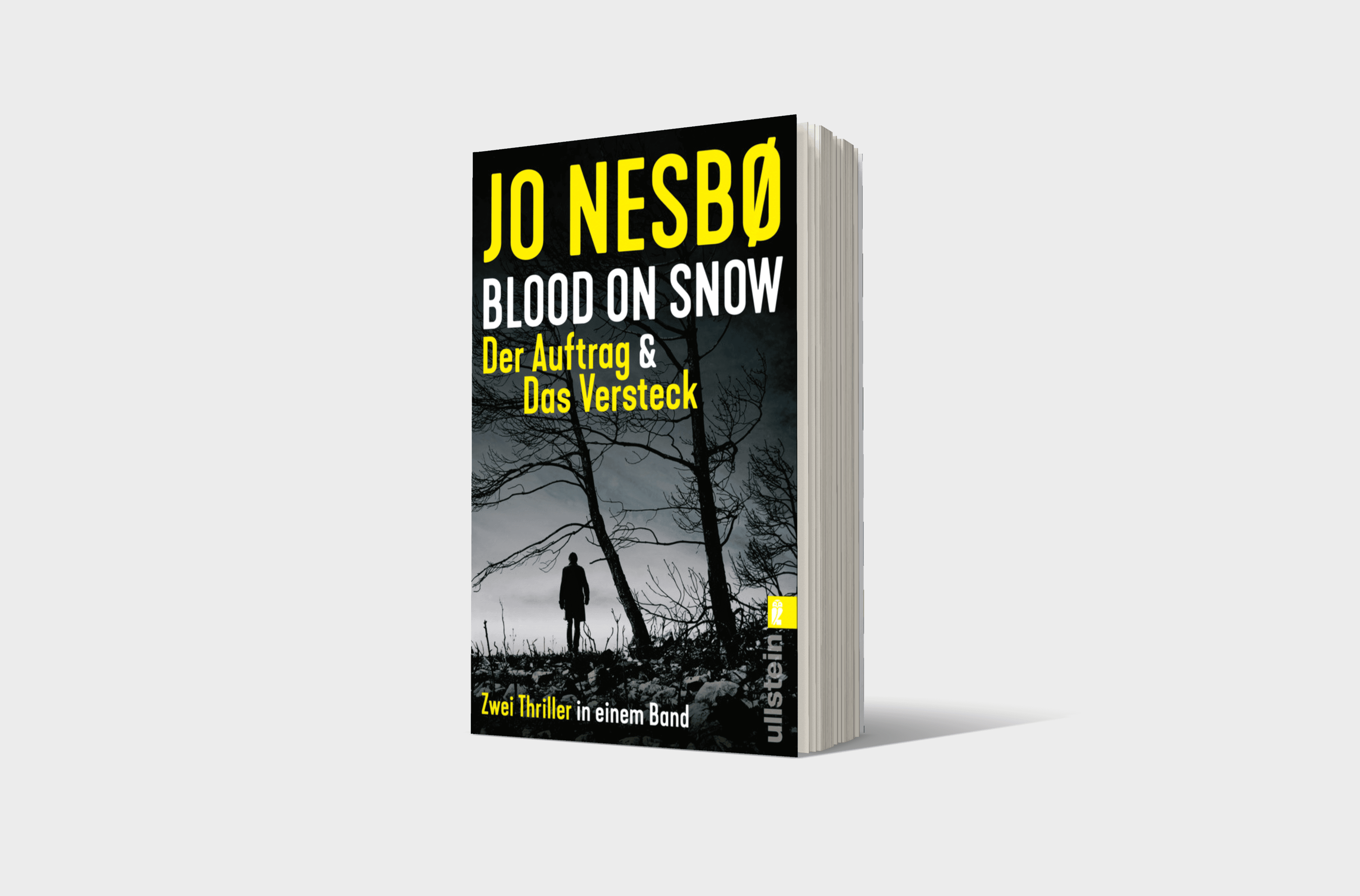Buchcover von Blood on Snow. Der Auftrag & Das Versteck (Blood on Snow 1+2)