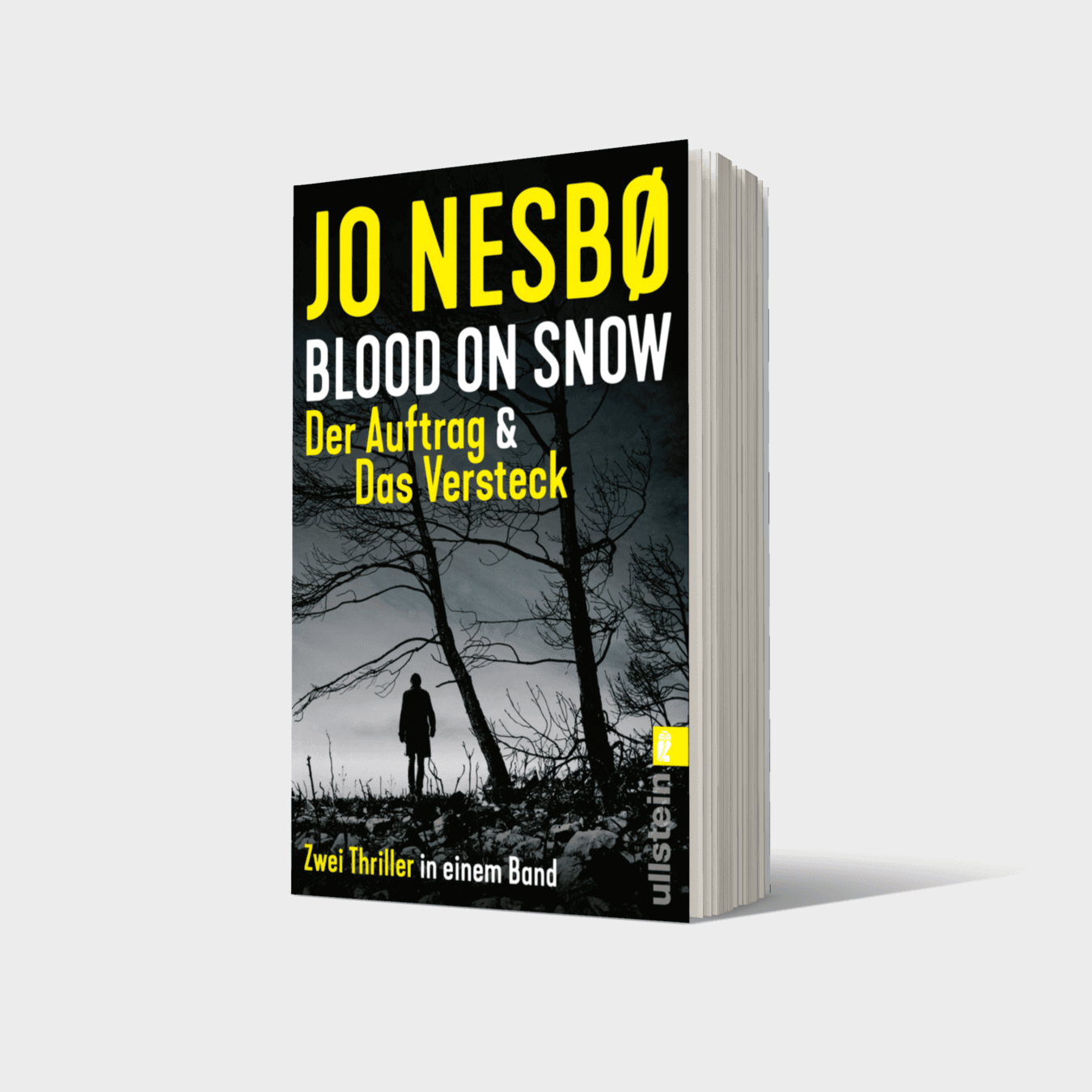 Buchcover von Blood on Snow. Der Auftrag & Das Versteck (Blood on Snow 1+2)