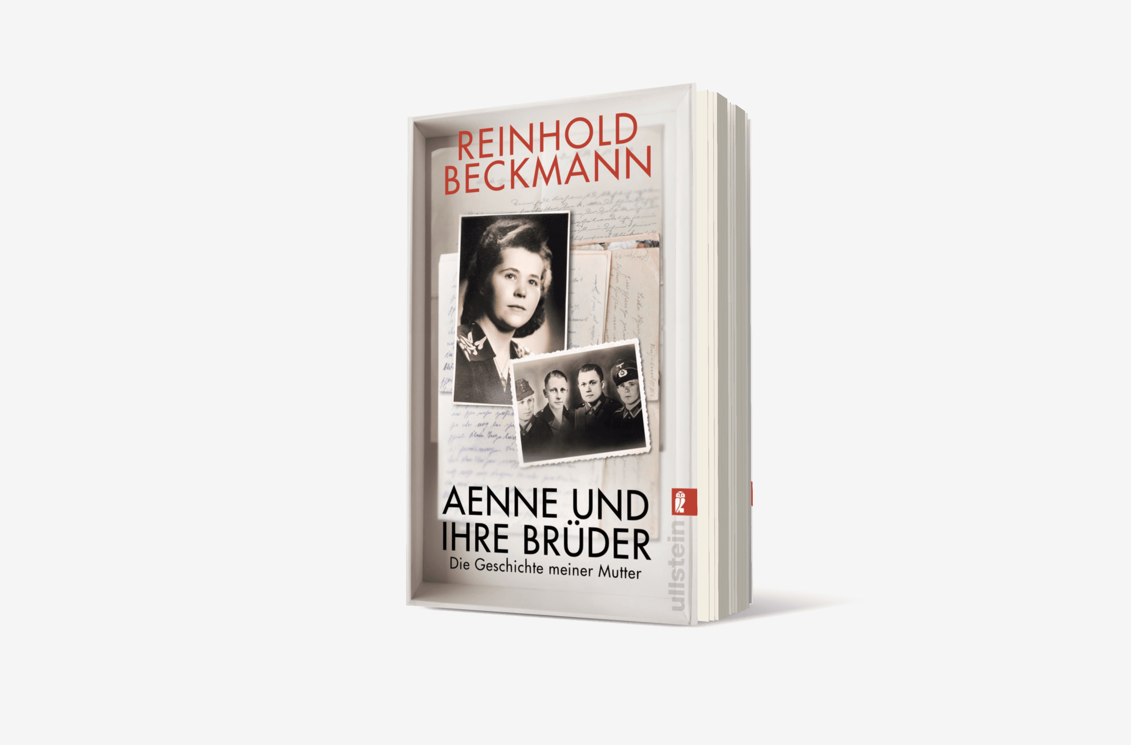 Buchcover von Aenne und ihre Brüder