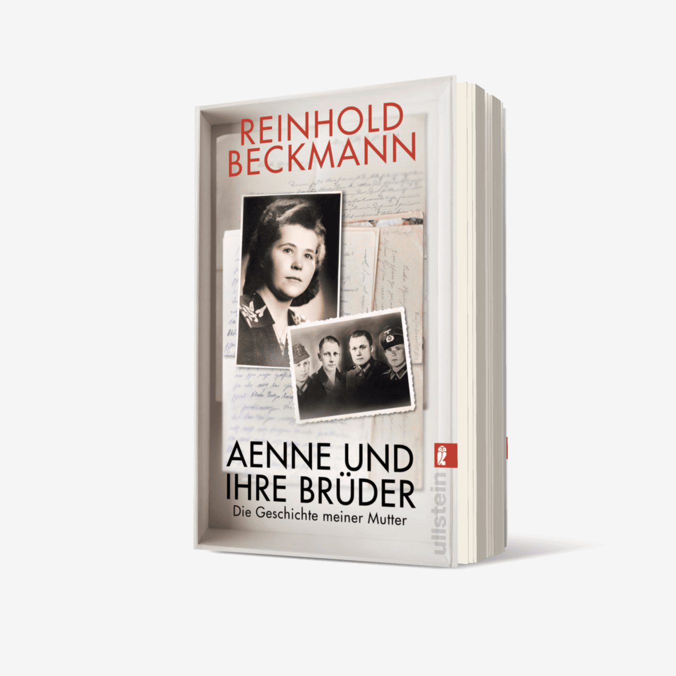 Buchcover von Aenne und ihre Brüder