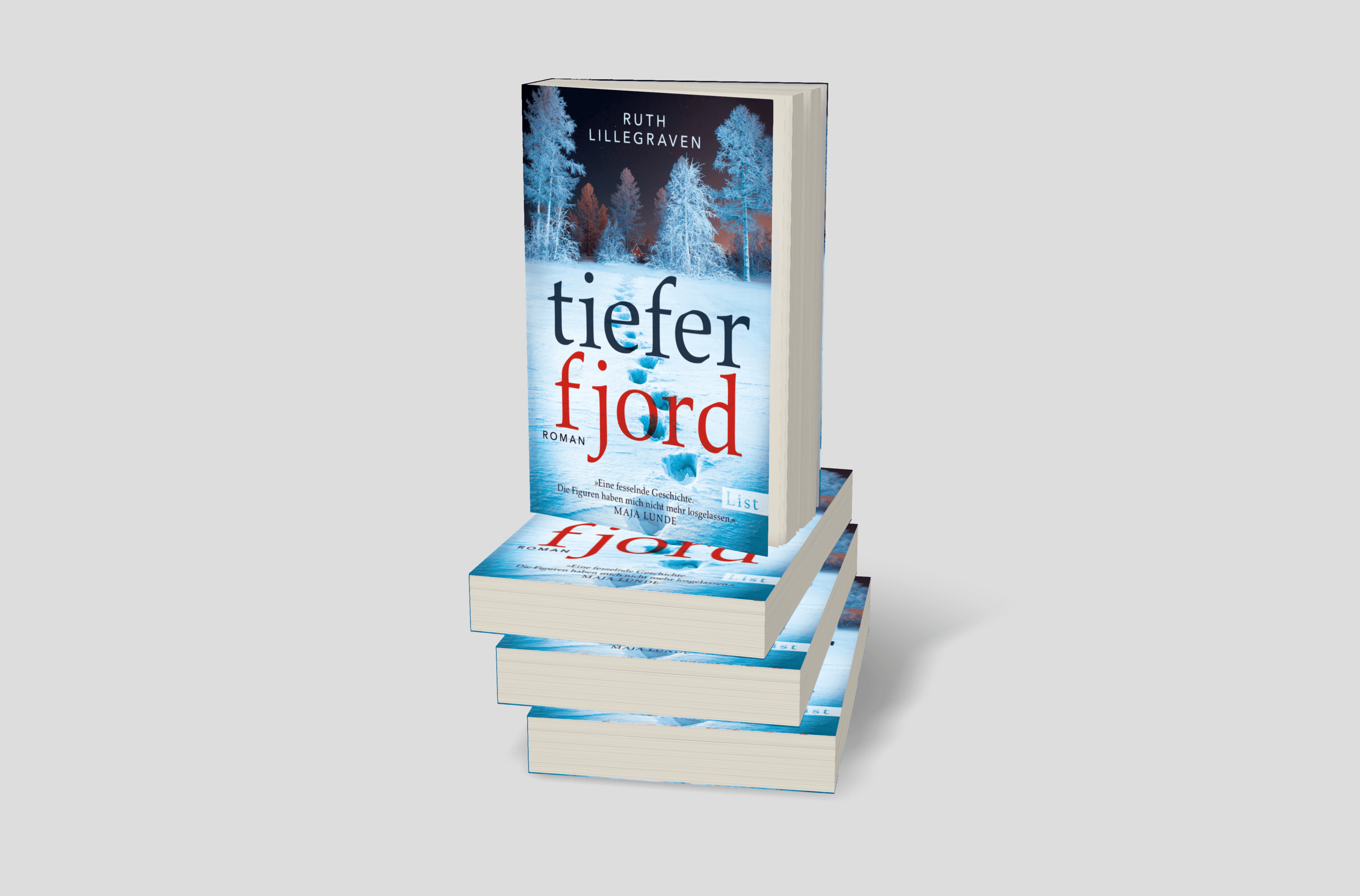 Buchcover von Tiefer Fjord