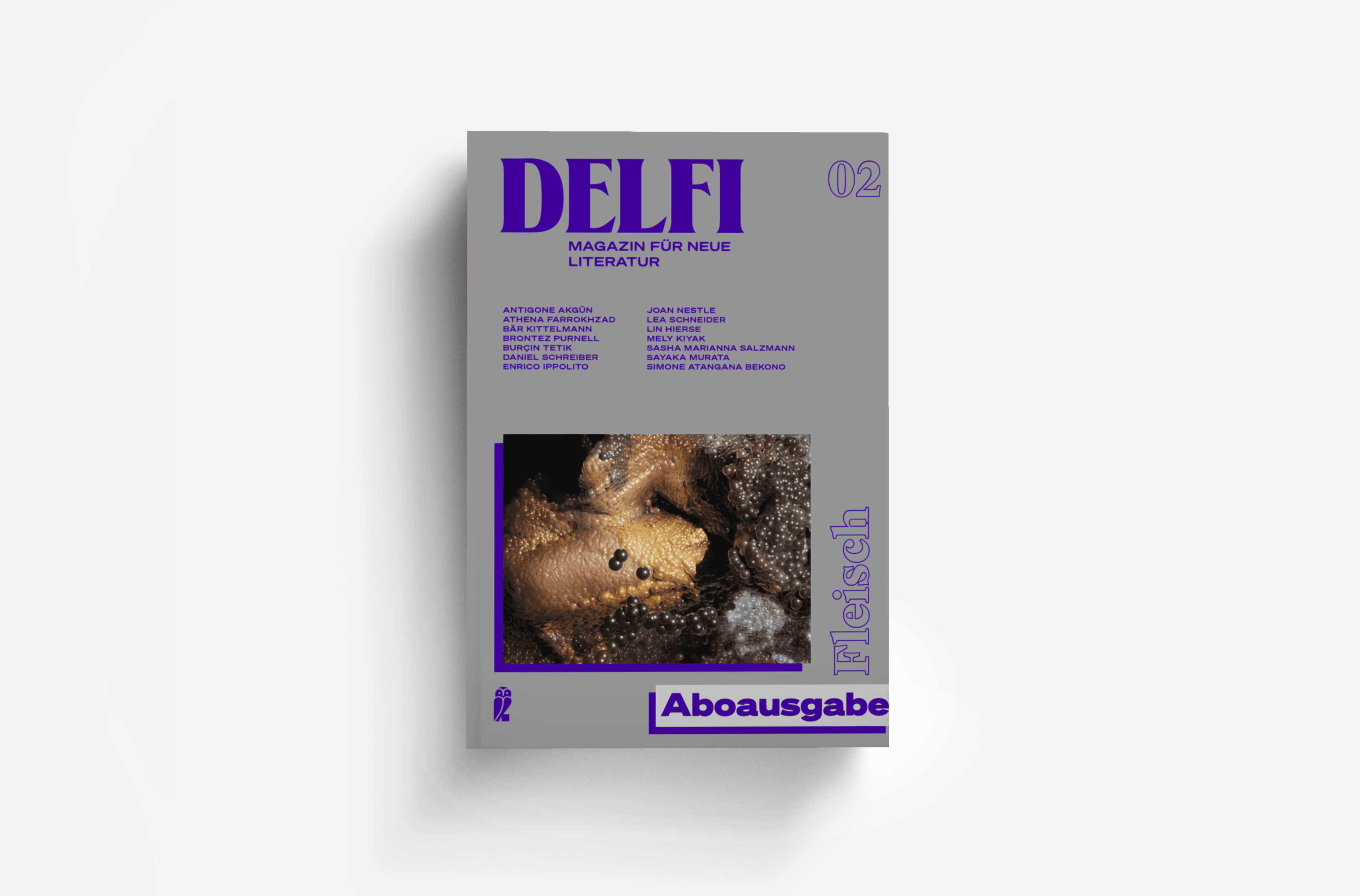 Buchcover von Delfi Fleisch - Aboausgabe (Delfi 2)