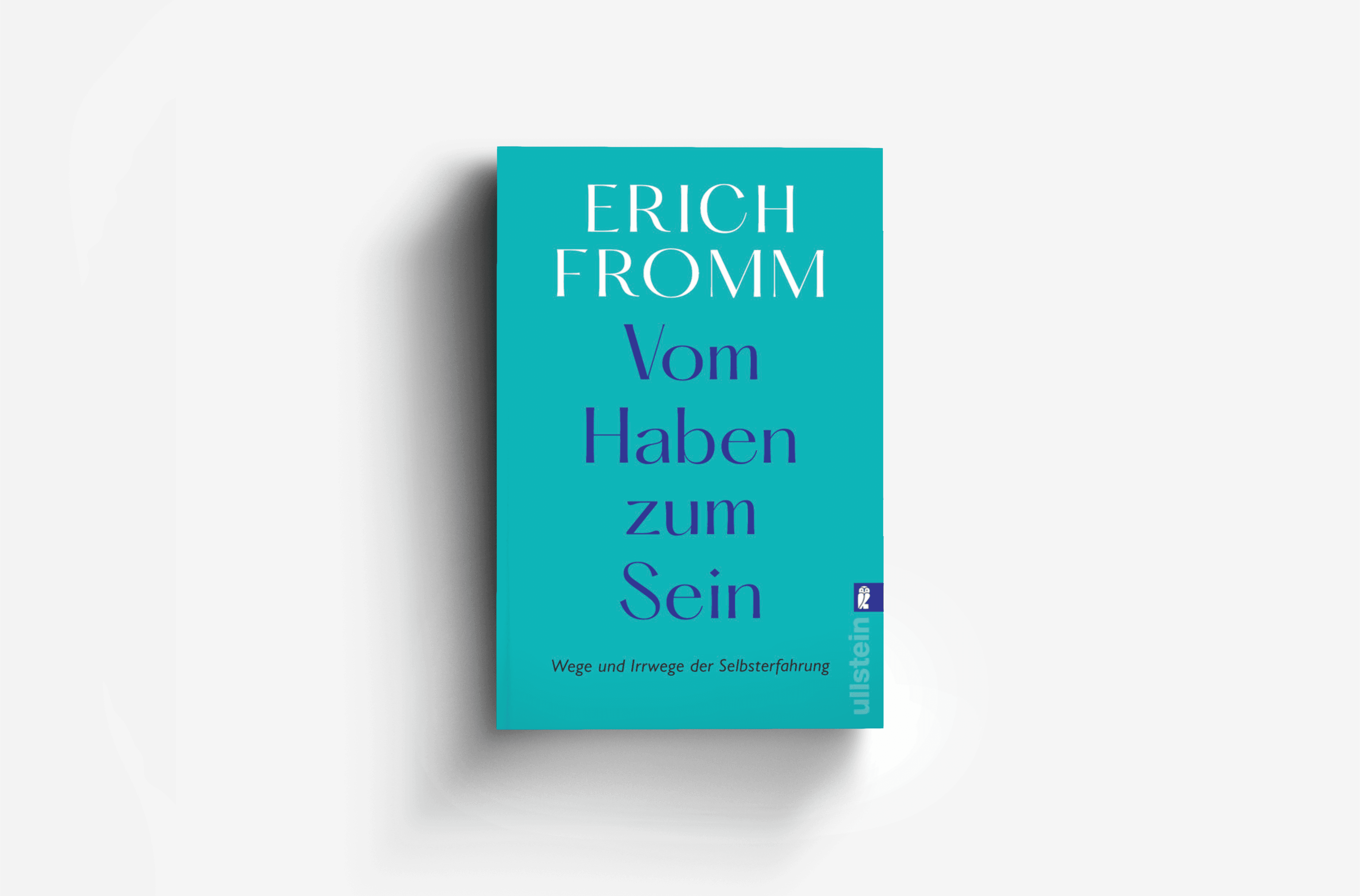 Buchcover von Vom Haben zum Sein