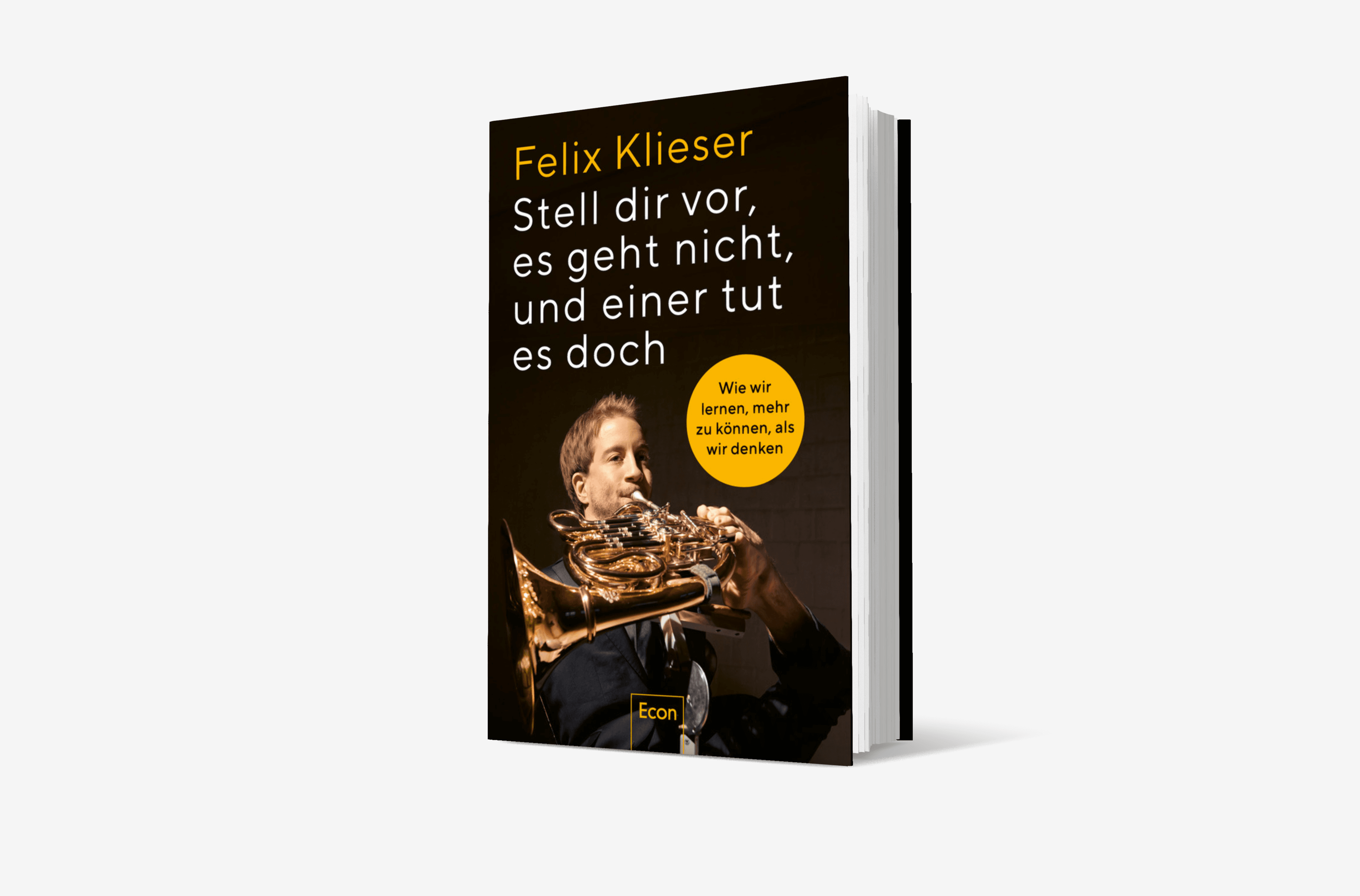 Buchcover von Stell dir vor, es geht nicht, und einer tut es doch