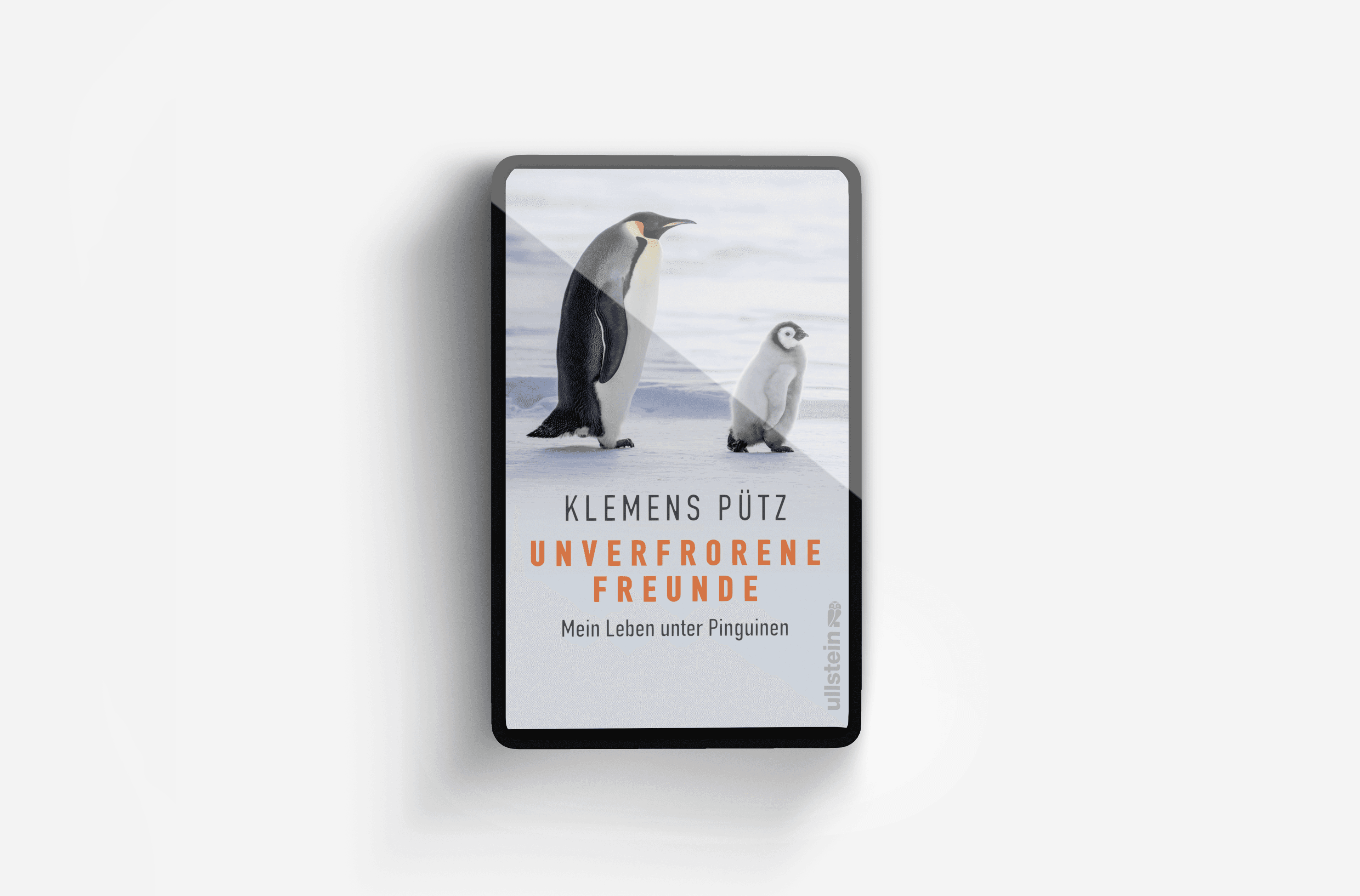 Buchcover von Unverfrorene Freunde