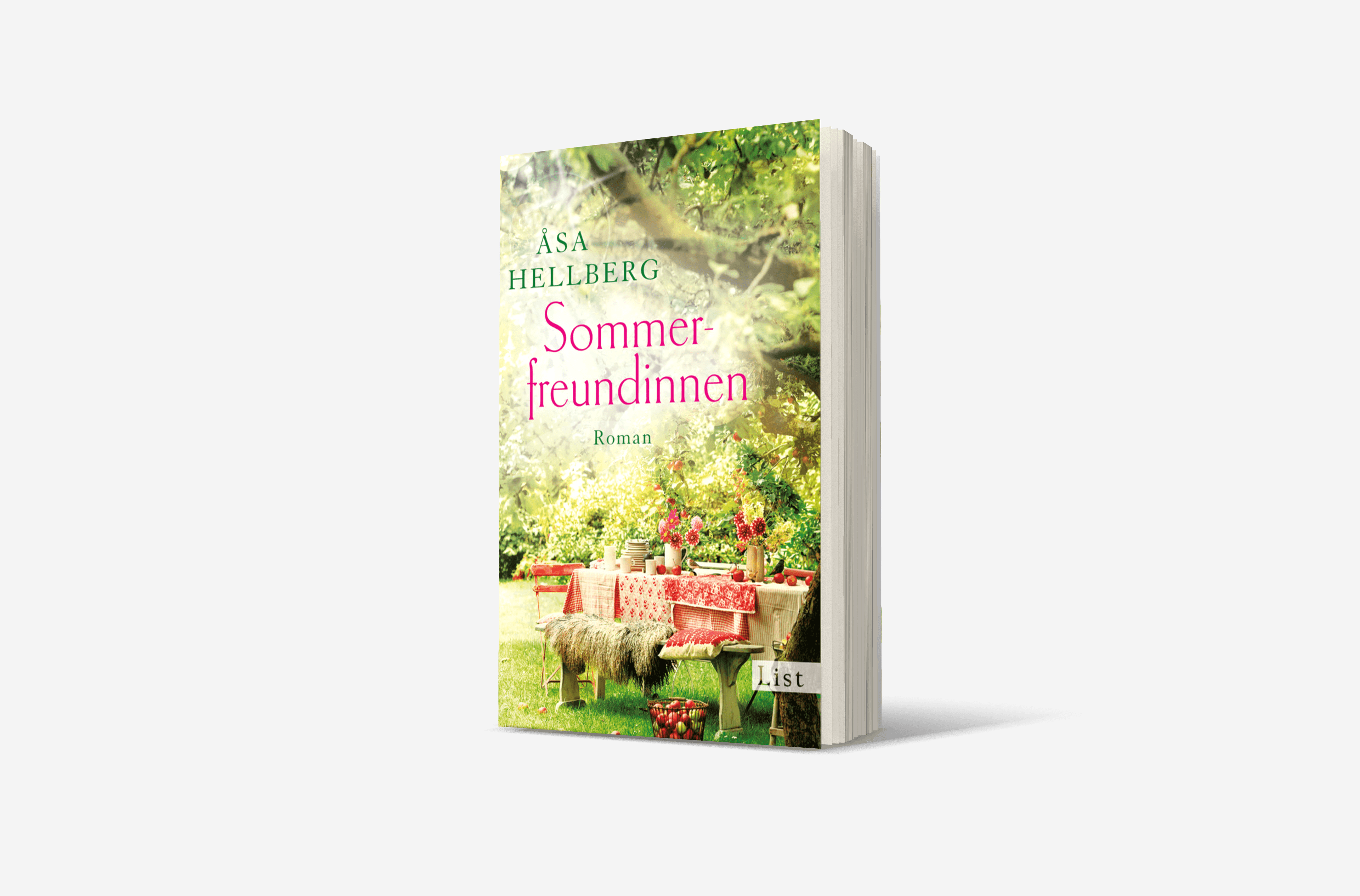 Buchcover von Sommerfreundinnen