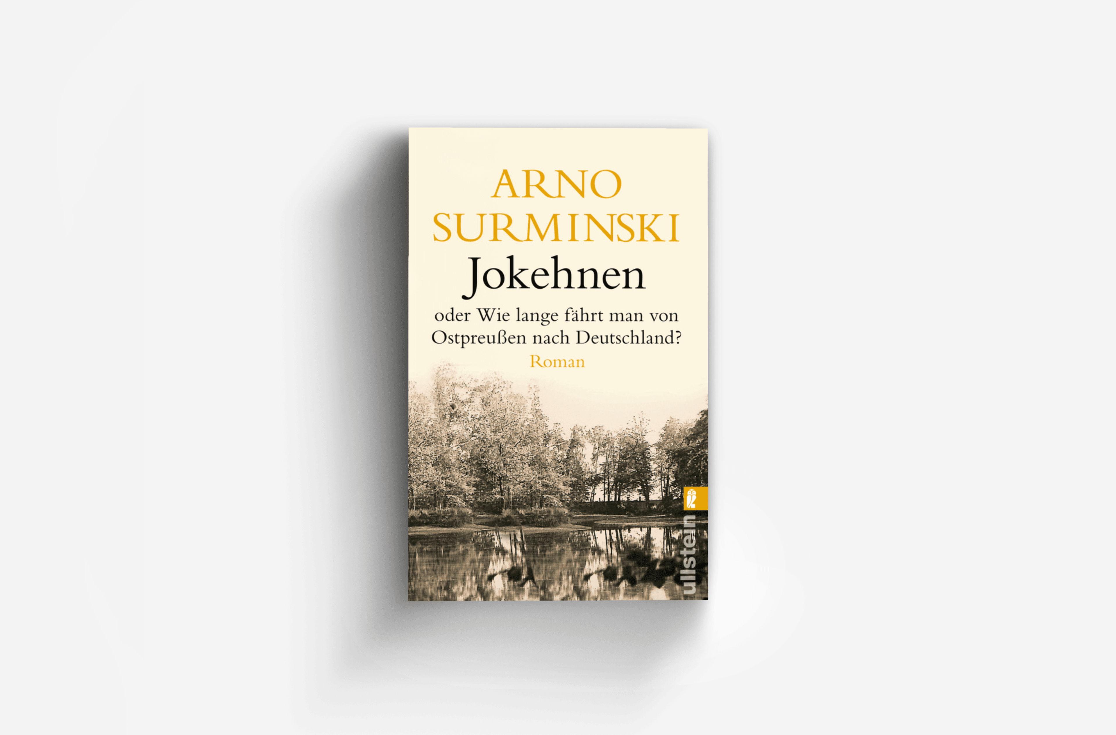 Buchcover von Jokehnen