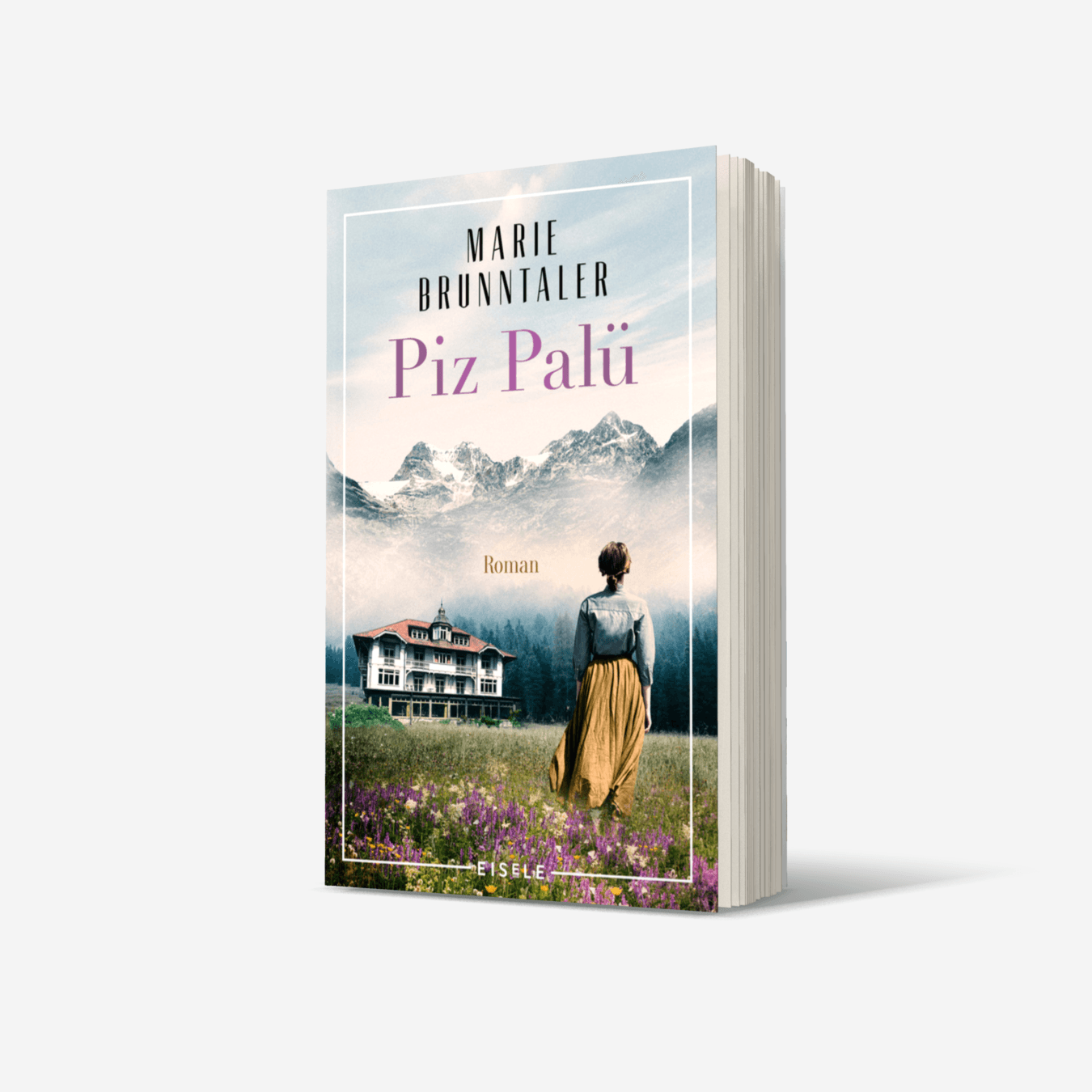 Buchcover von Piz Palü