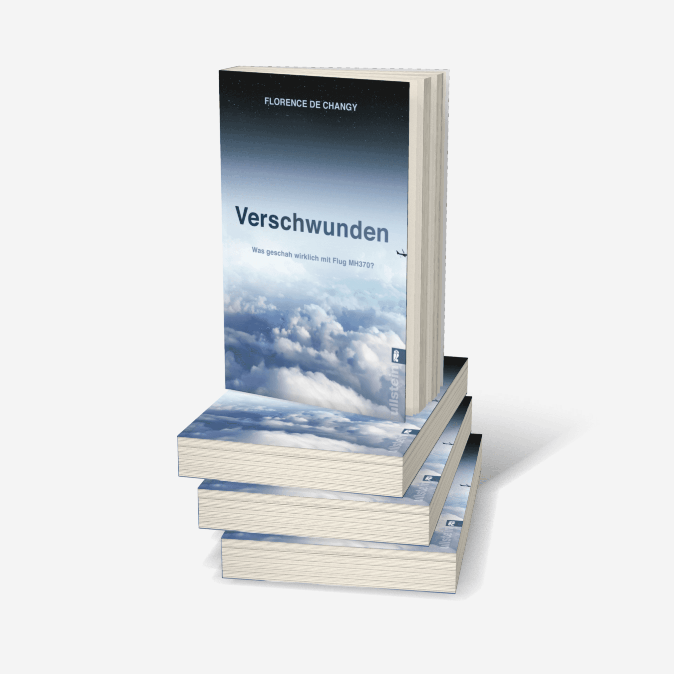 Buchcover von Verschwunden