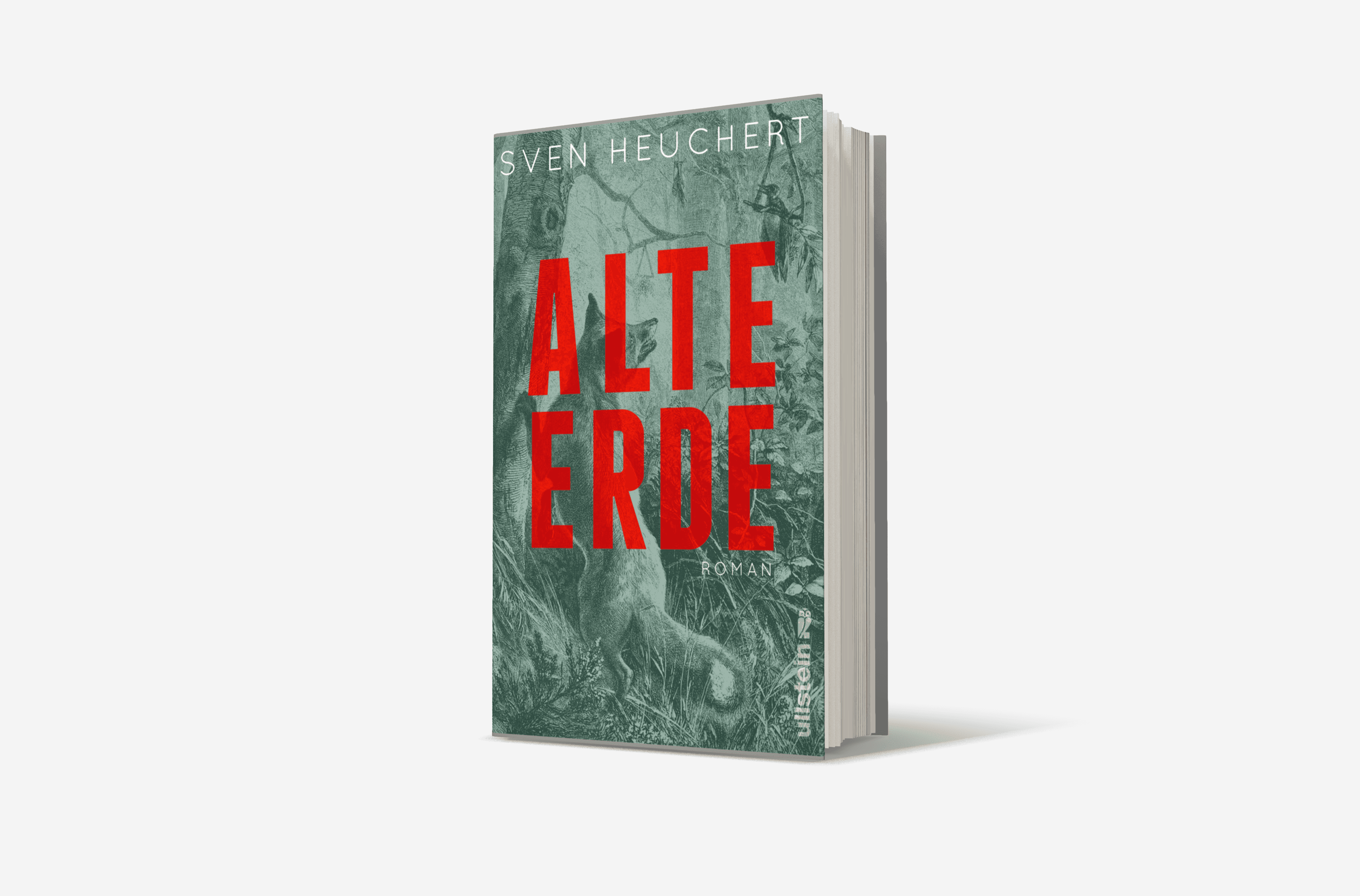 Buchcover von Alte Erde