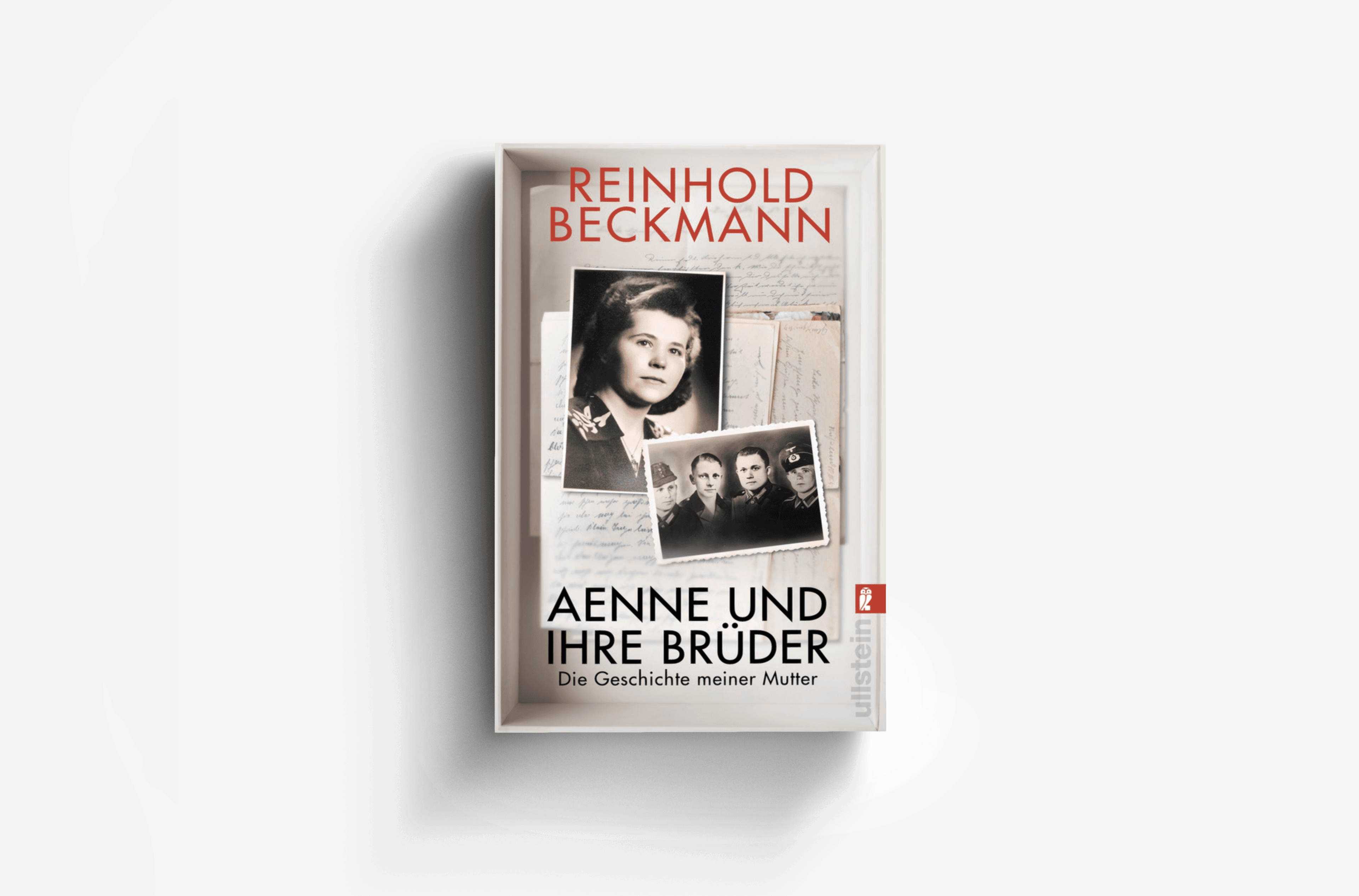 Buchcover von Aenne und ihre Brüder