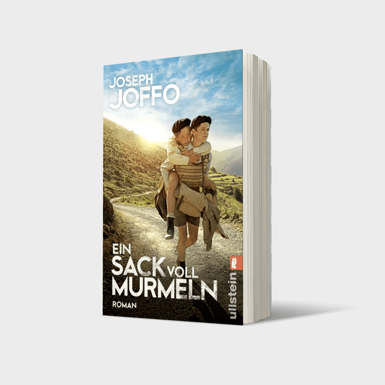 Buchcover von Ein Sack voll Murmeln