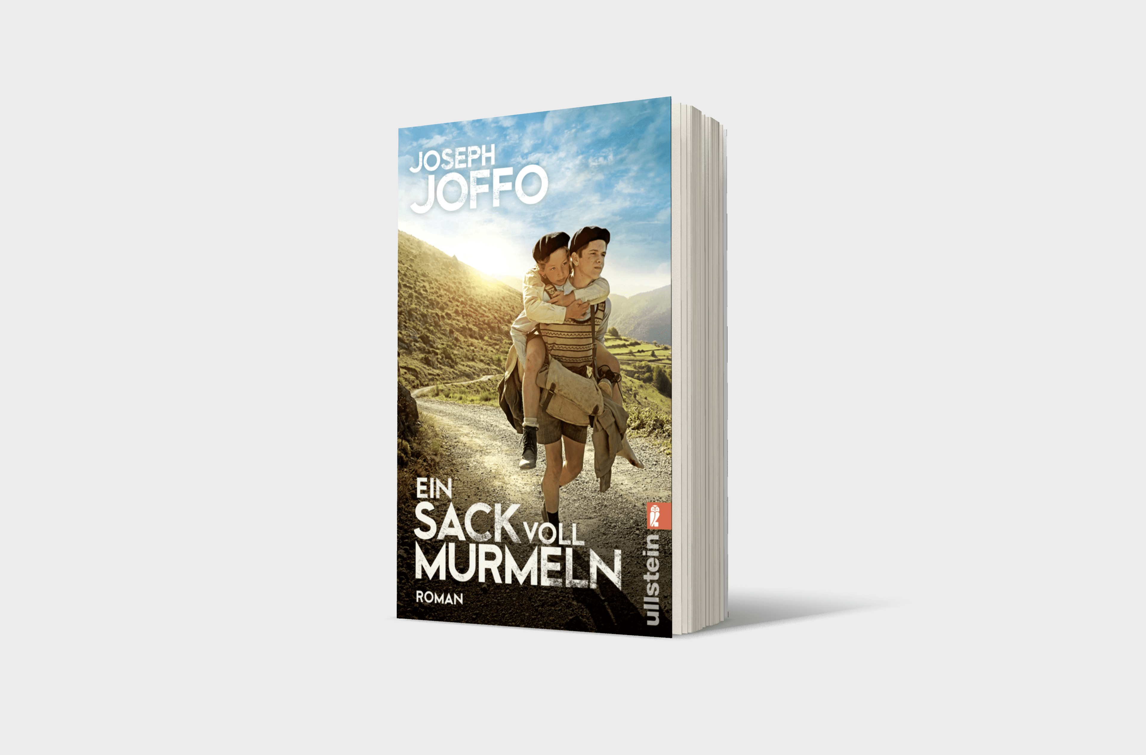 Buchcover von Ein Sack voll Murmeln