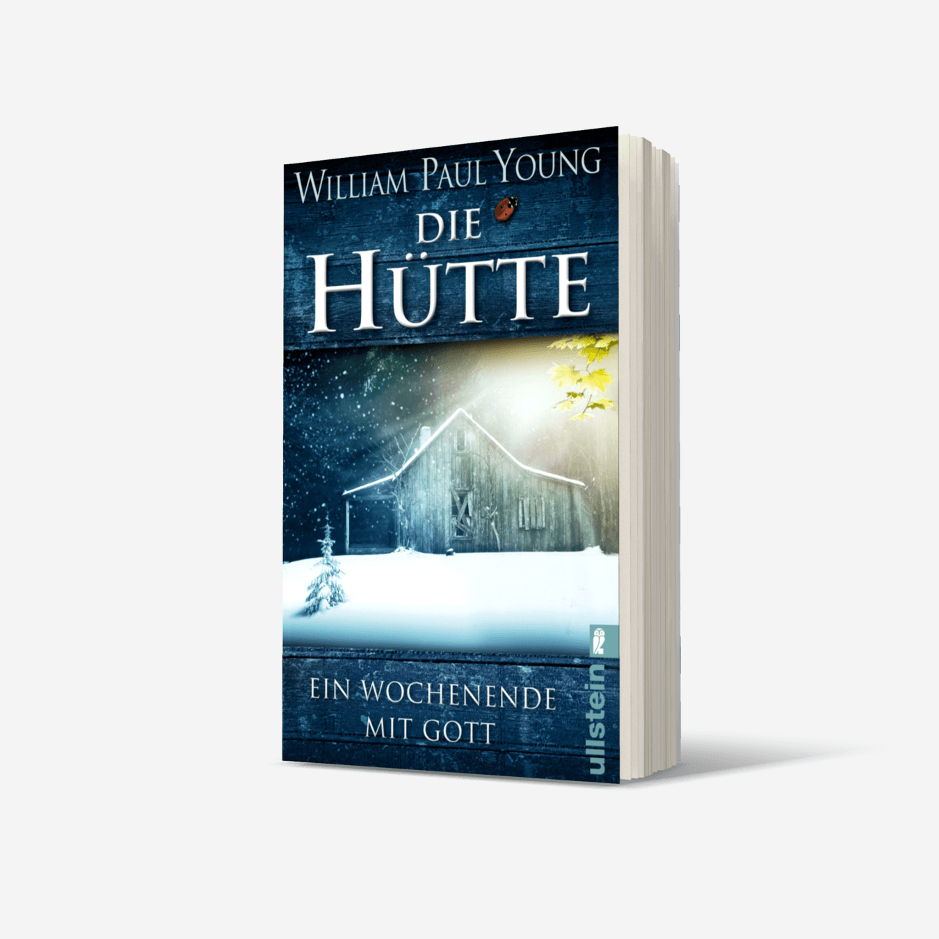 Buchcover von Die Hütte