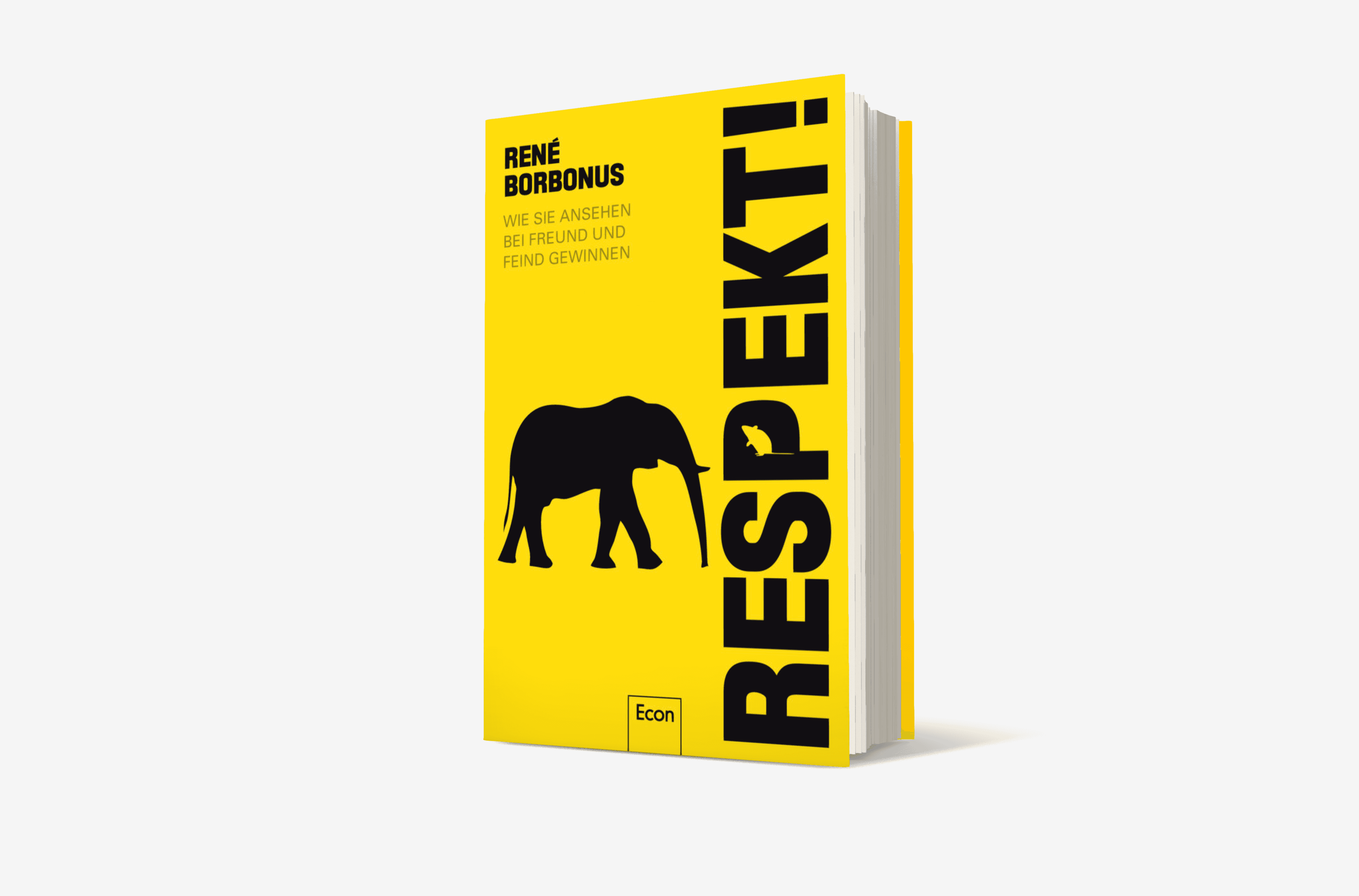 Buchcover von Respekt!