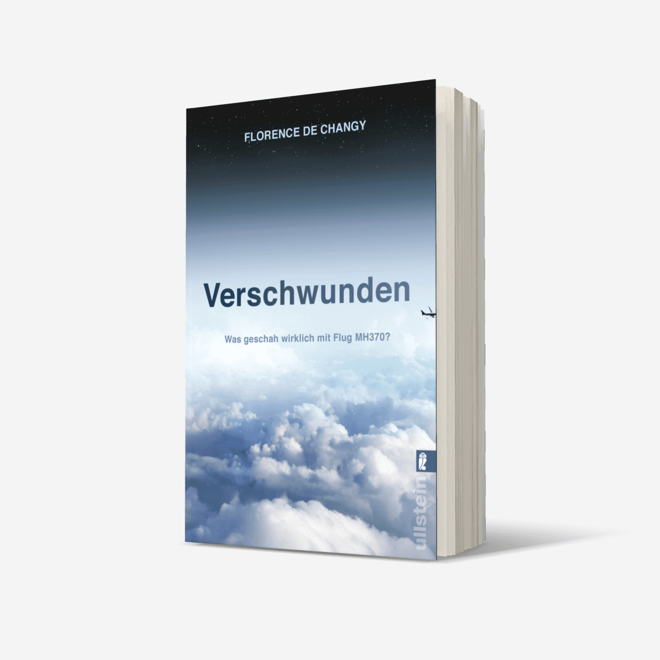 Buchcover von Verschwunden