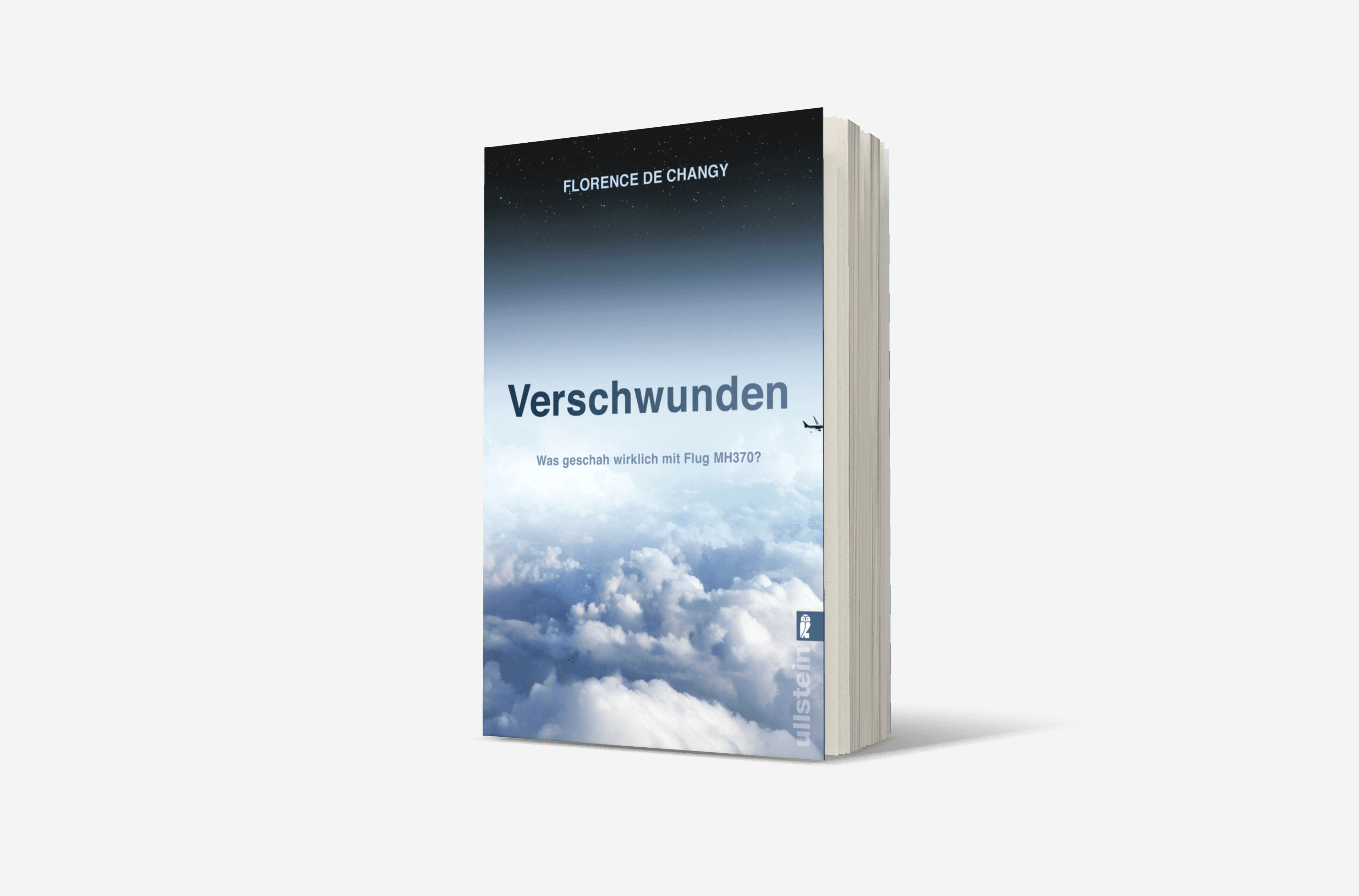 Buchcover von Verschwunden