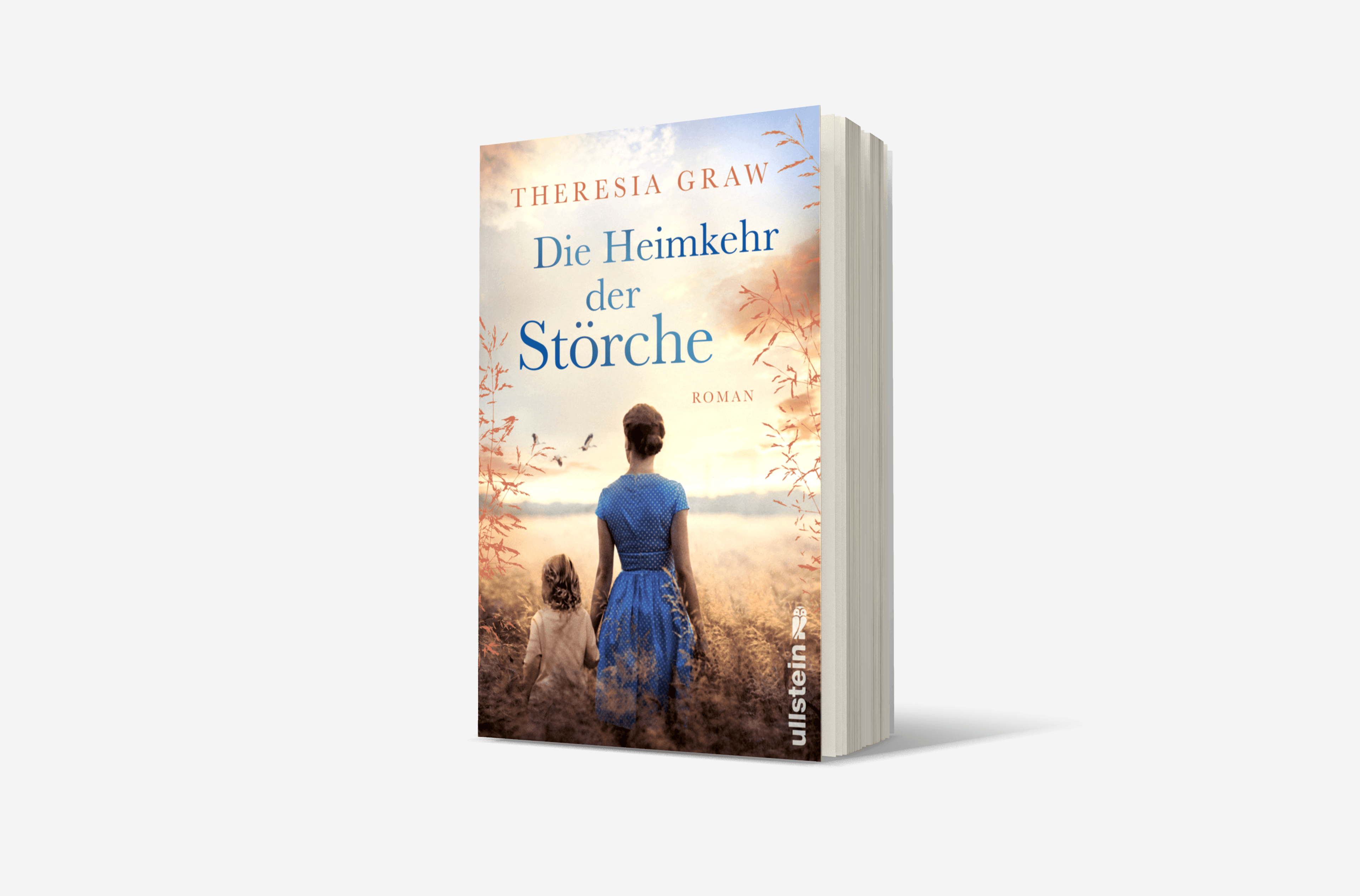 Buchcover von Die Heimkehr der Störche (Die Gutsherrin-Saga 2)