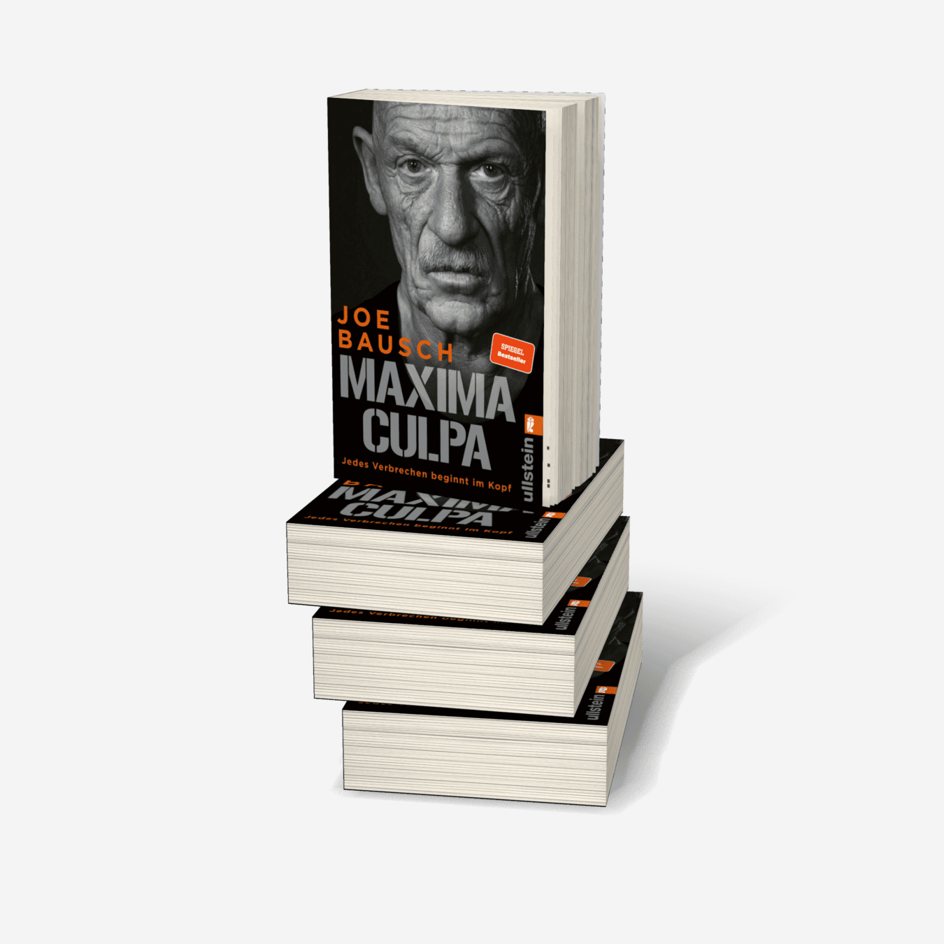 Buchcover von Maxima Culpa