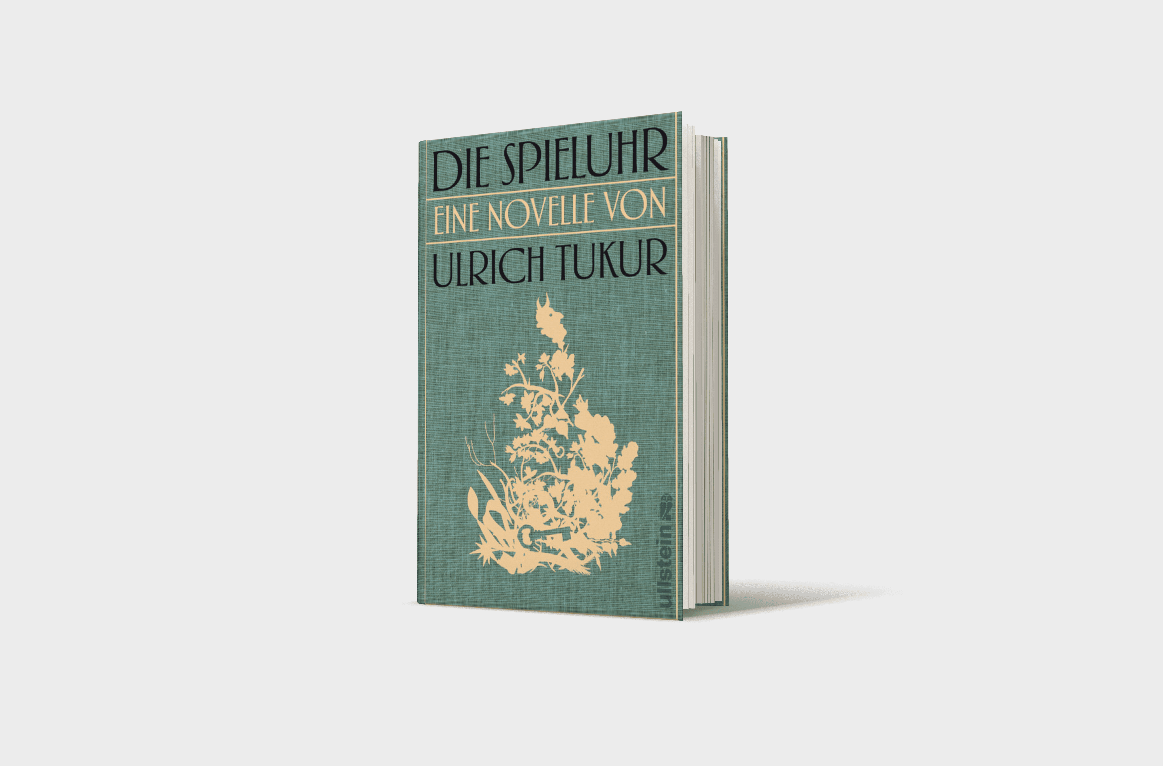 Buchcover von Die Spieluhr