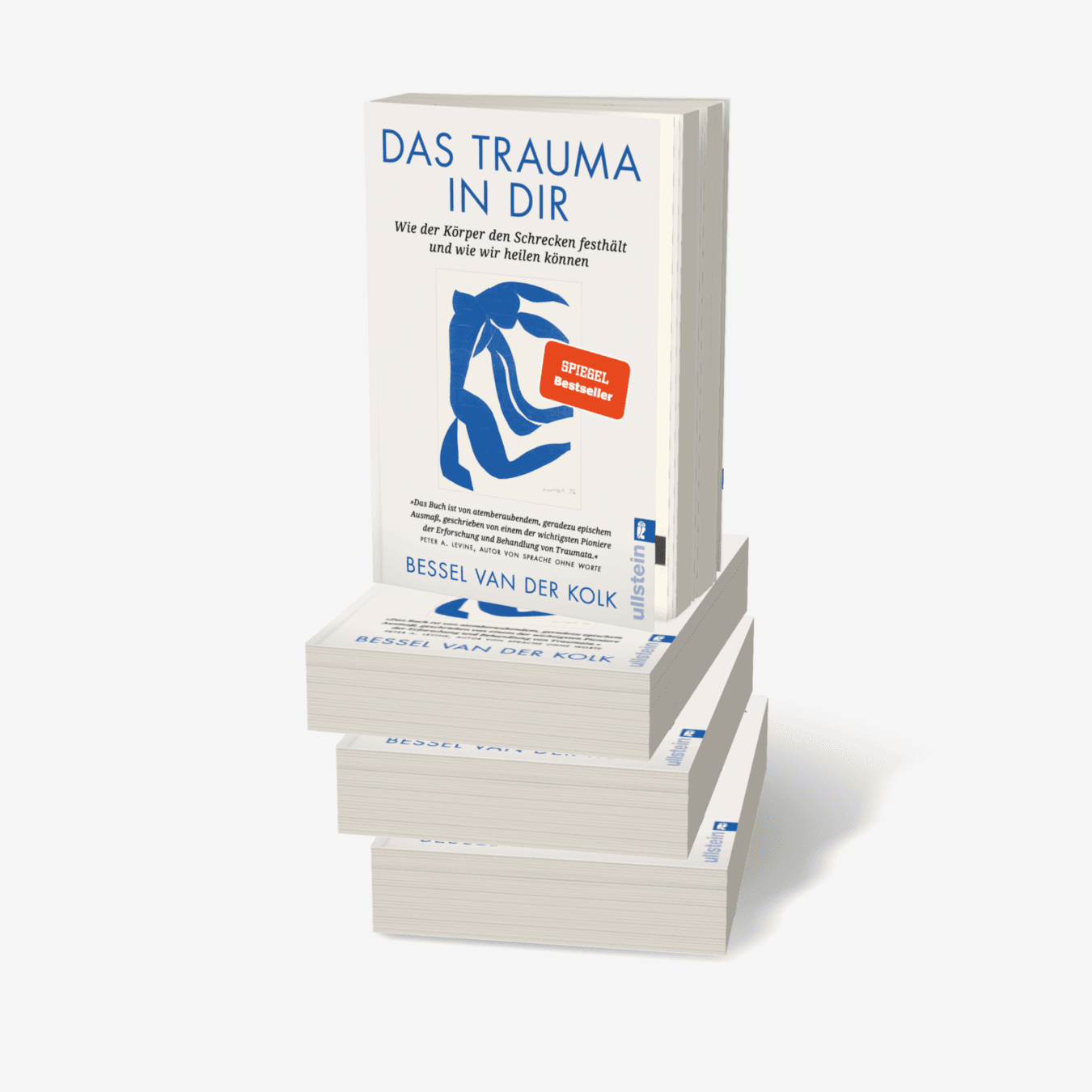 Buchcover von Das Trauma in dir