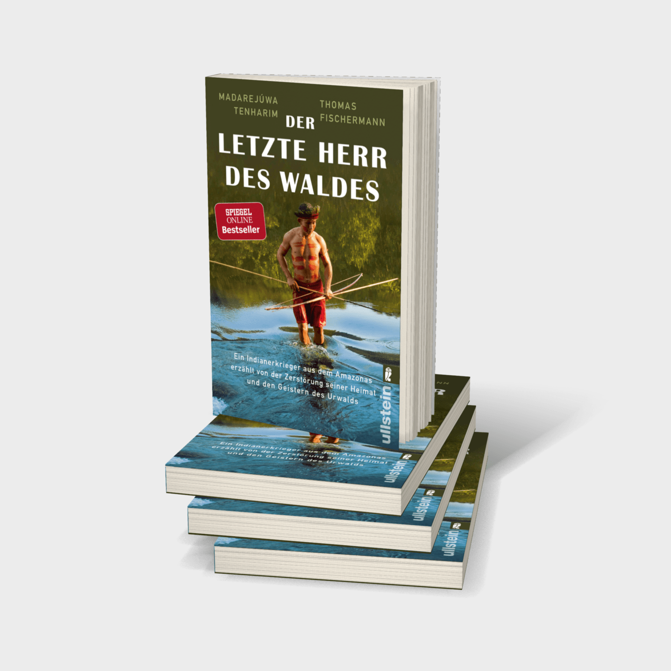 Buchcover von Der letzte Herr des Waldes