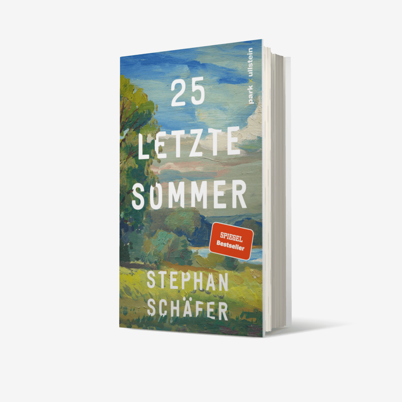 Buchcover von 25 letzte Sommer