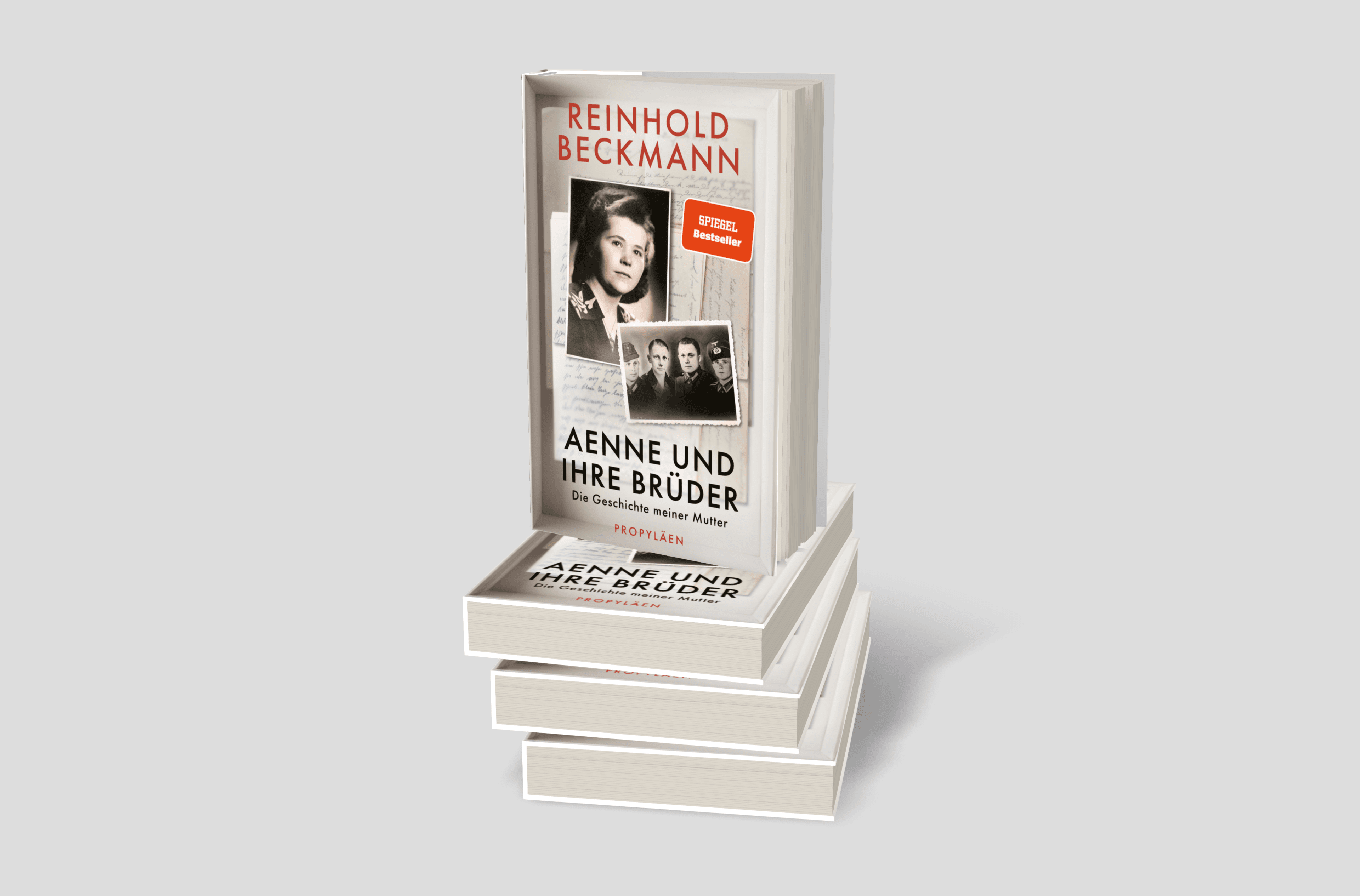 Buchcover von Aenne und ihre Brüder