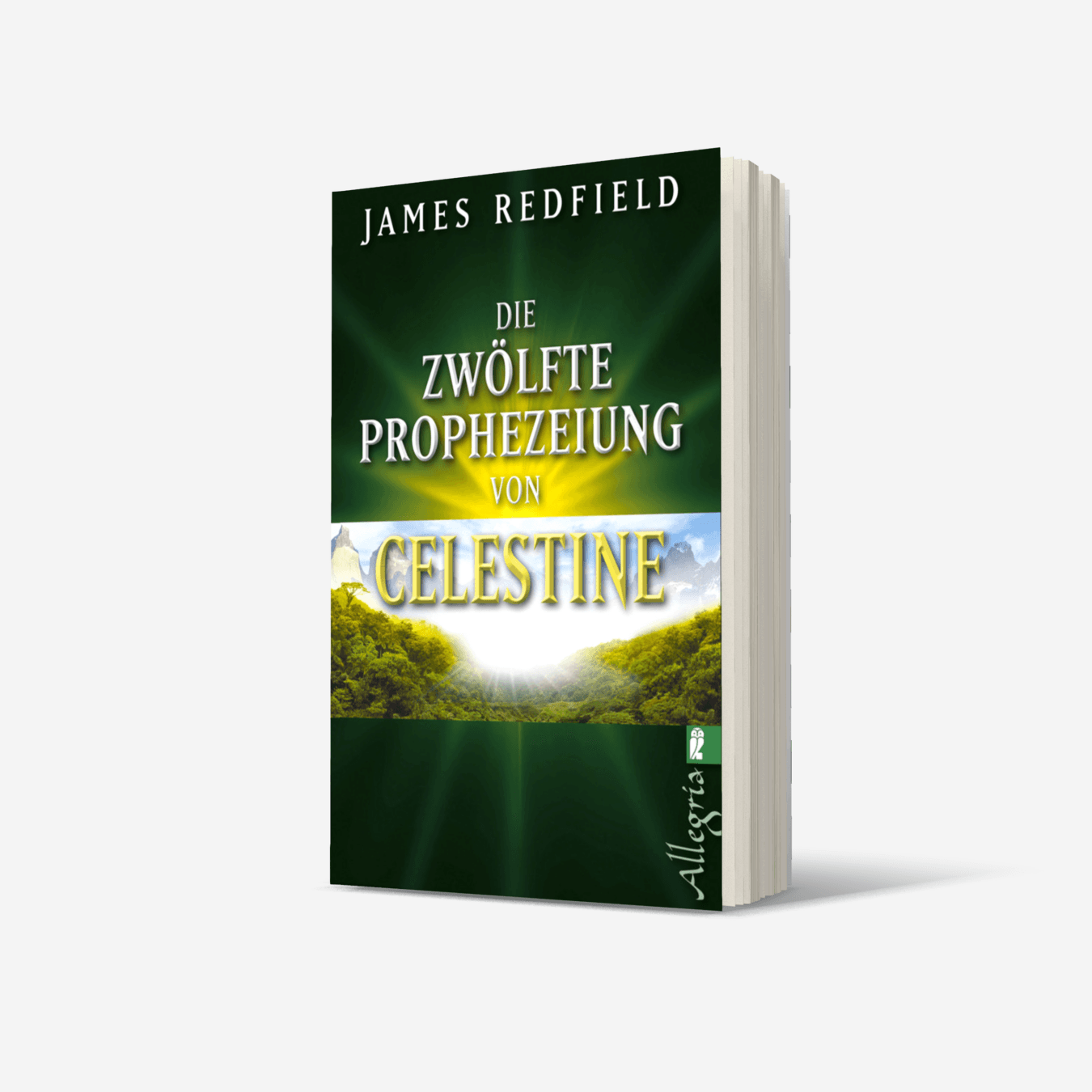 Buchcover von Die zwölfte Prophezeiung von Celestine (Die Prophezeiungen von Celestine 4)