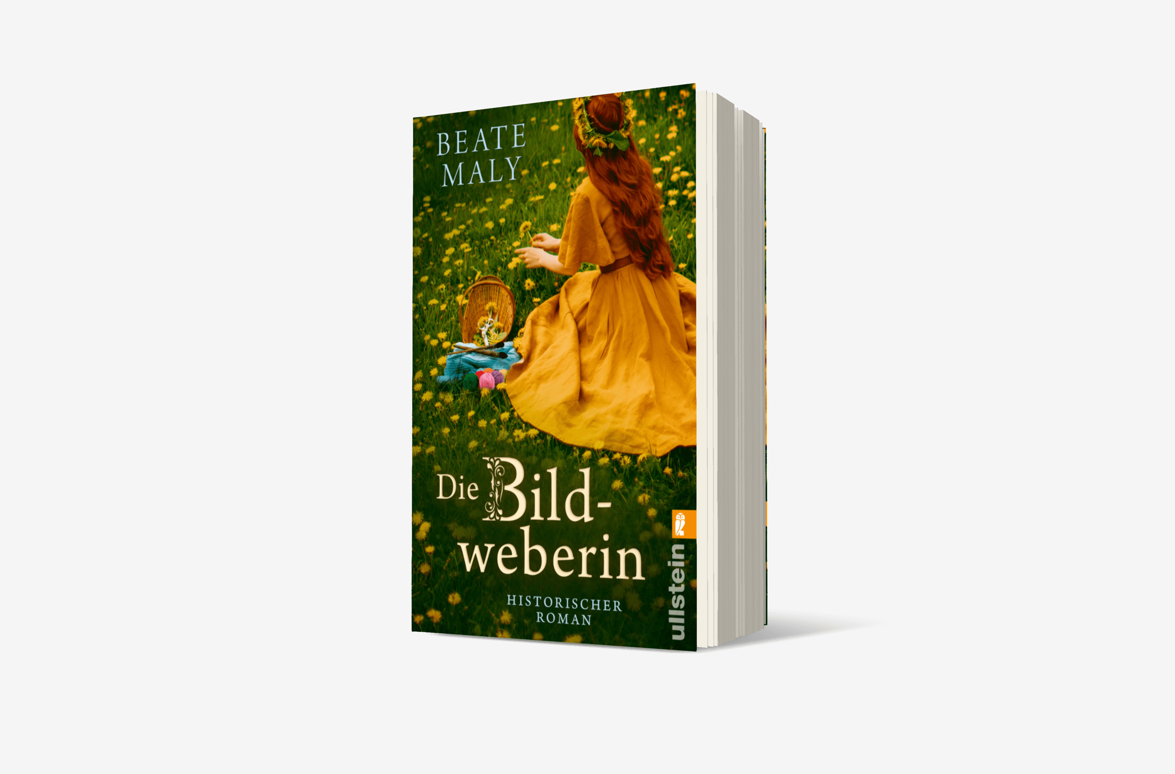 Buchcover von Die Bildweberin