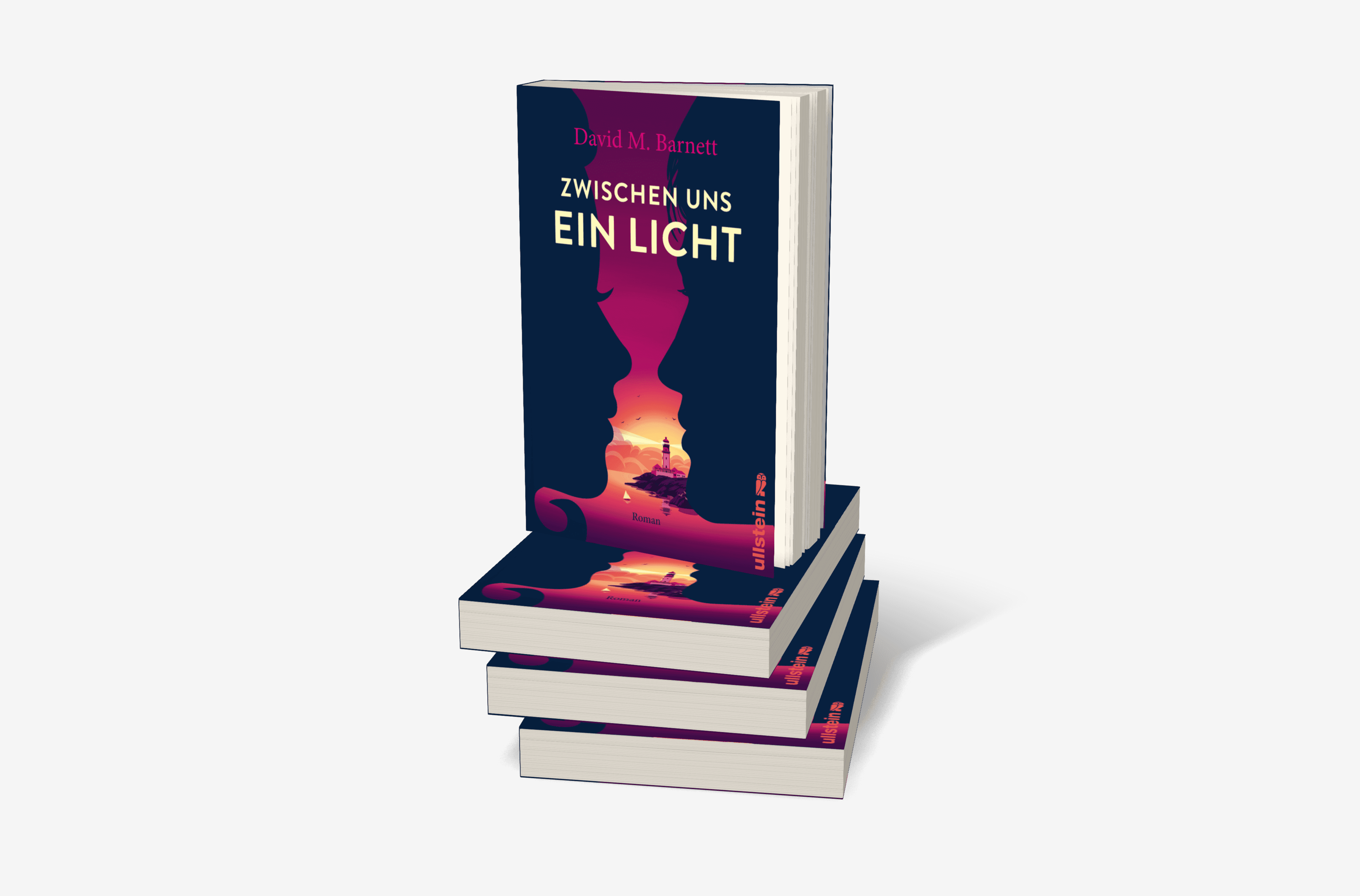 Buchcover von Zwischen uns ein Licht