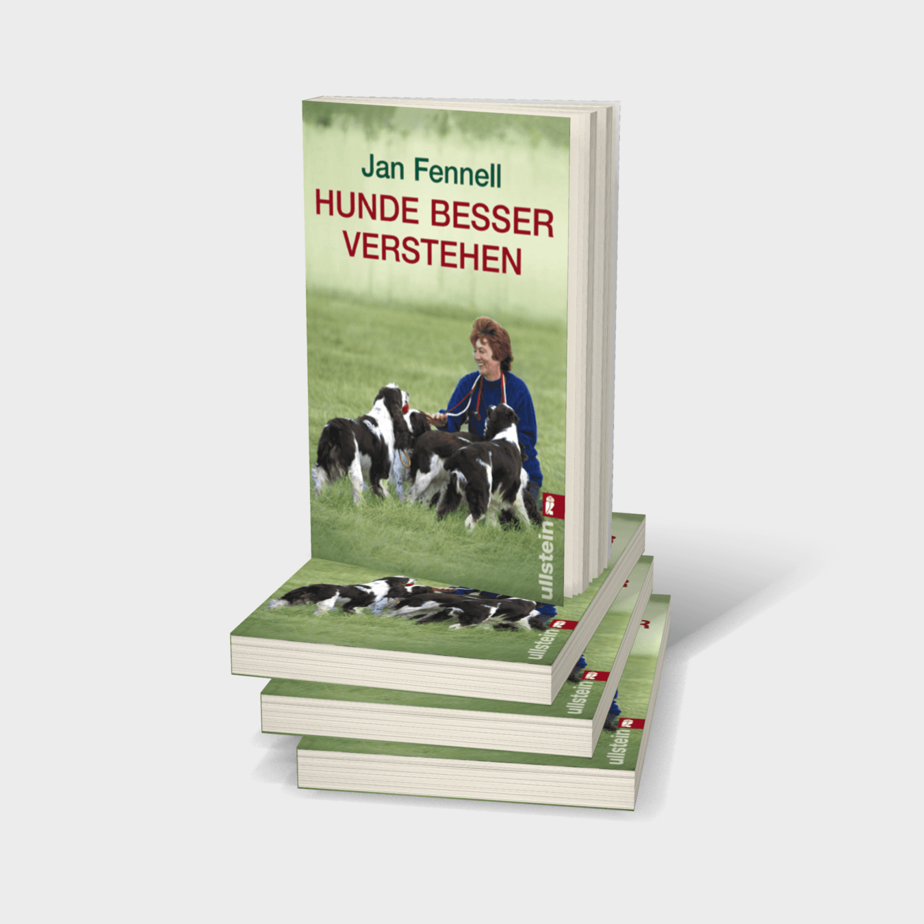 Buchcover von Hunde besser verstehen