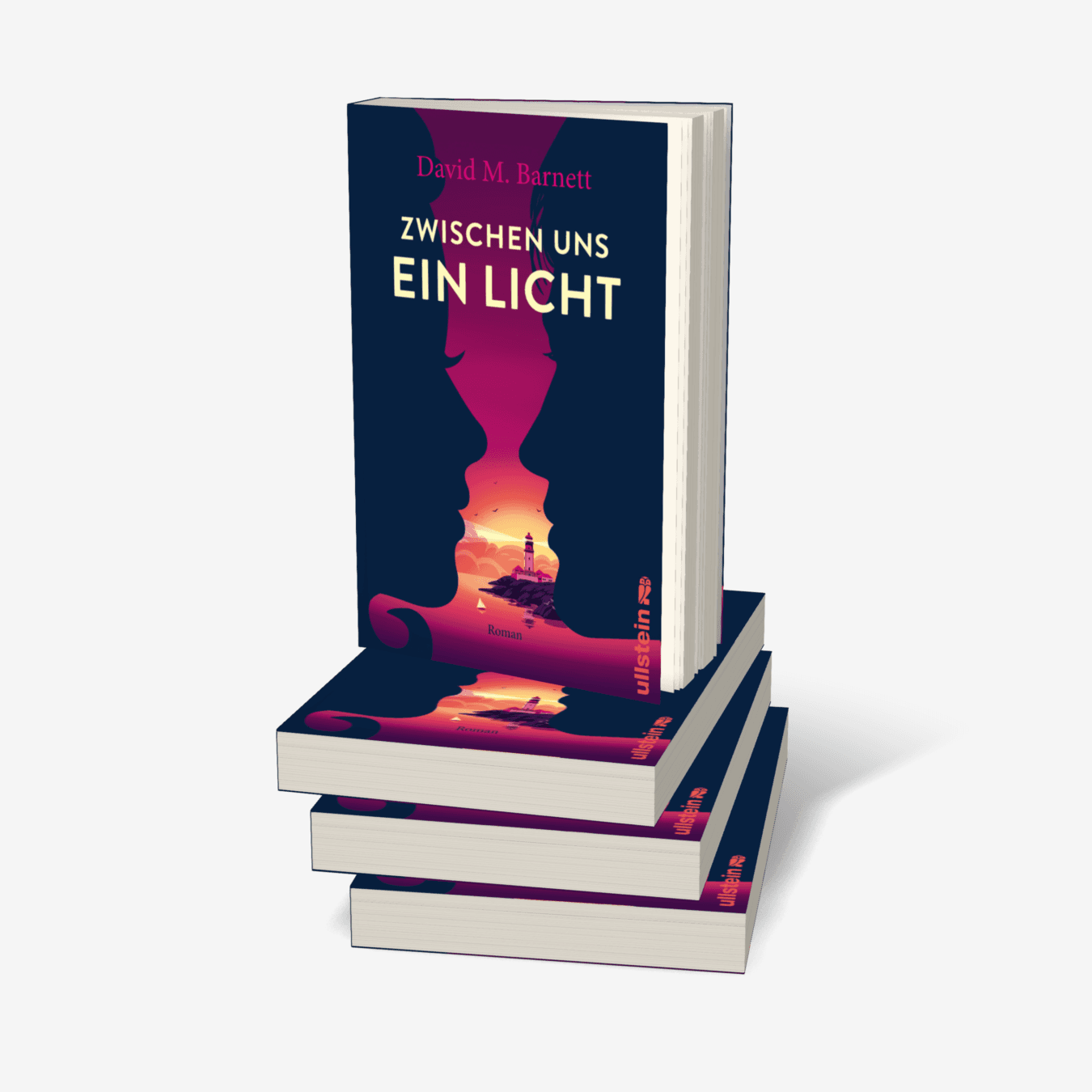 Buchcover von Zwischen uns ein Licht