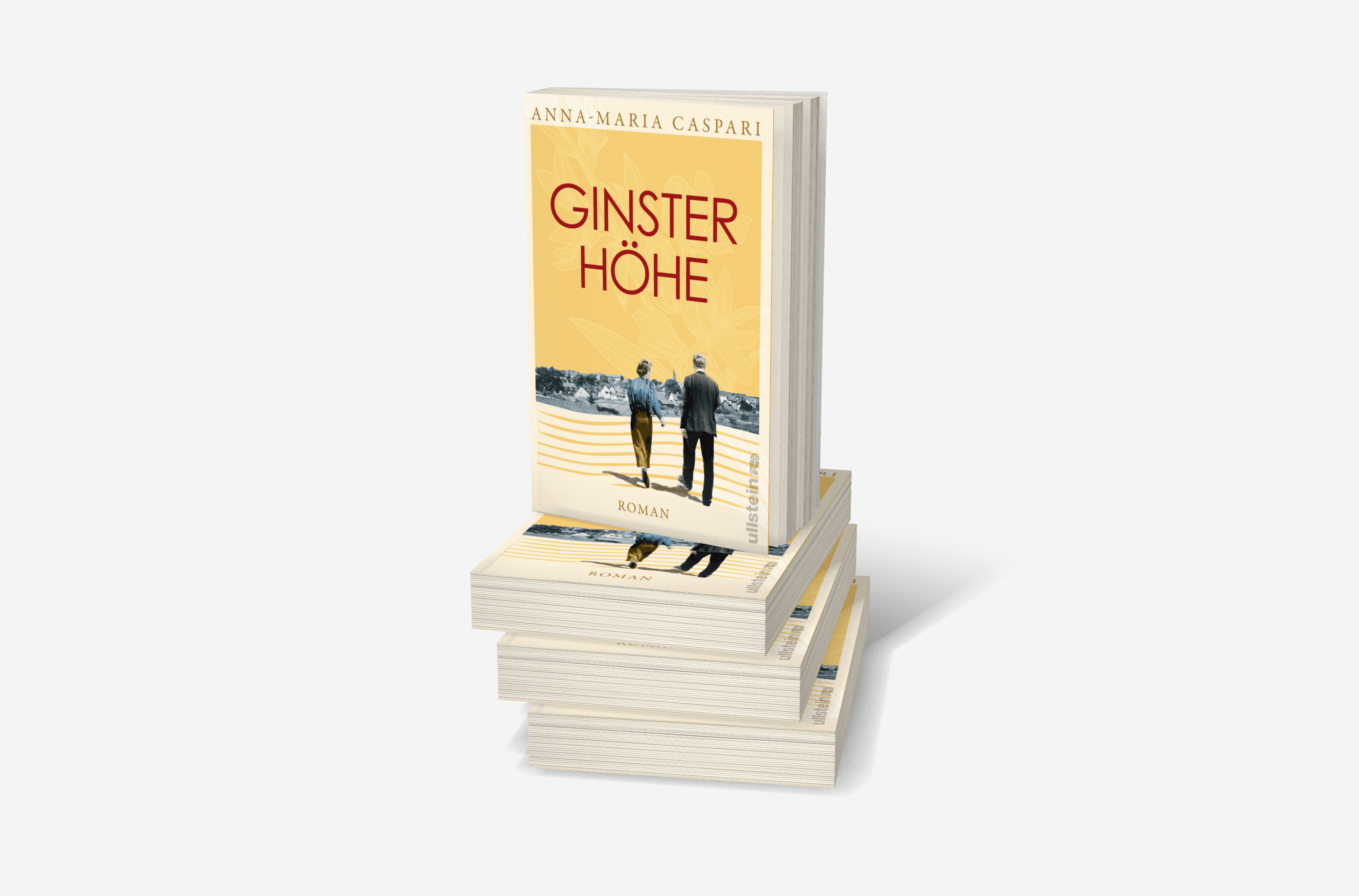 Buchcover von Ginsterhöhe