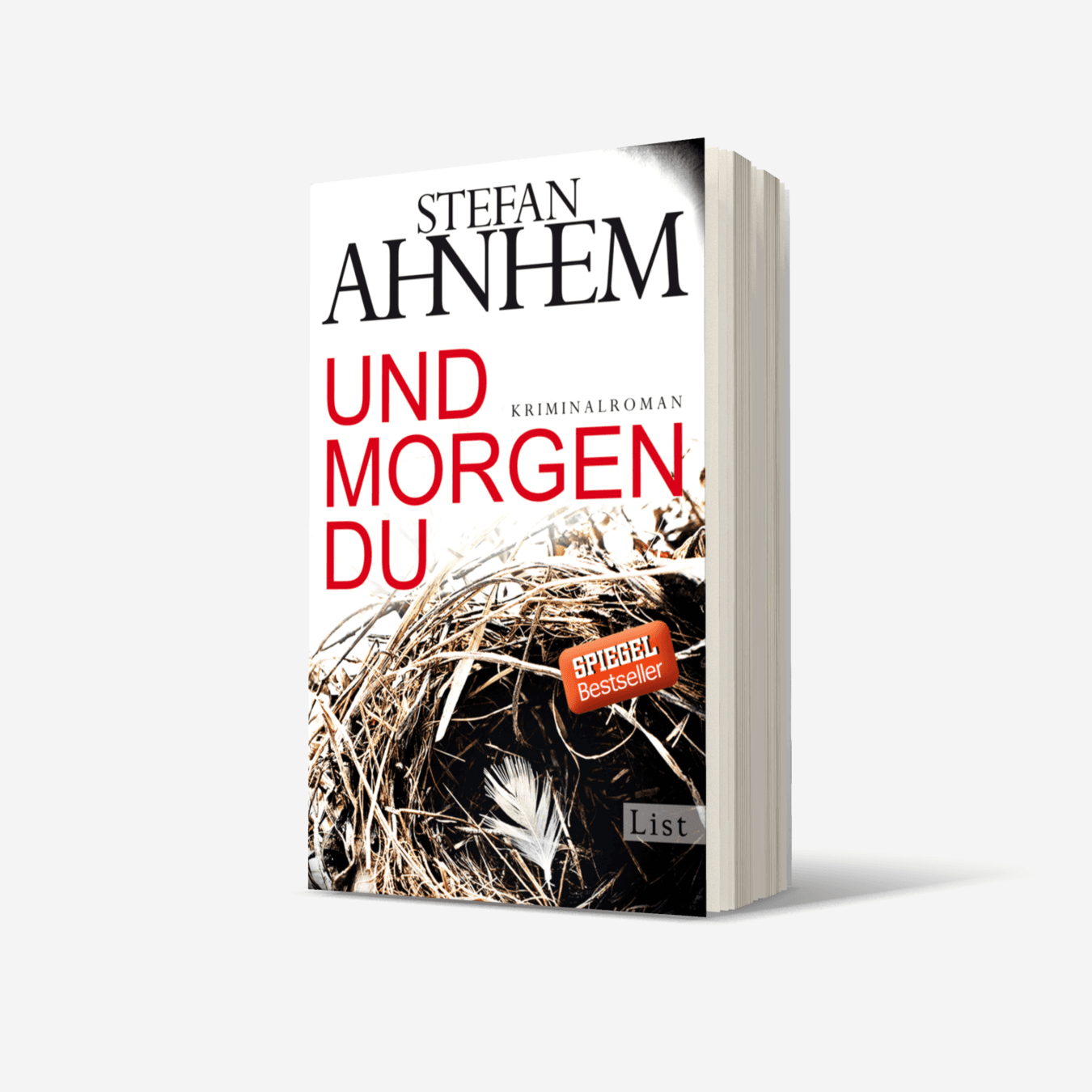 Buchcover von Und morgen du (Ein Fabian-Risk-Krimi 1)