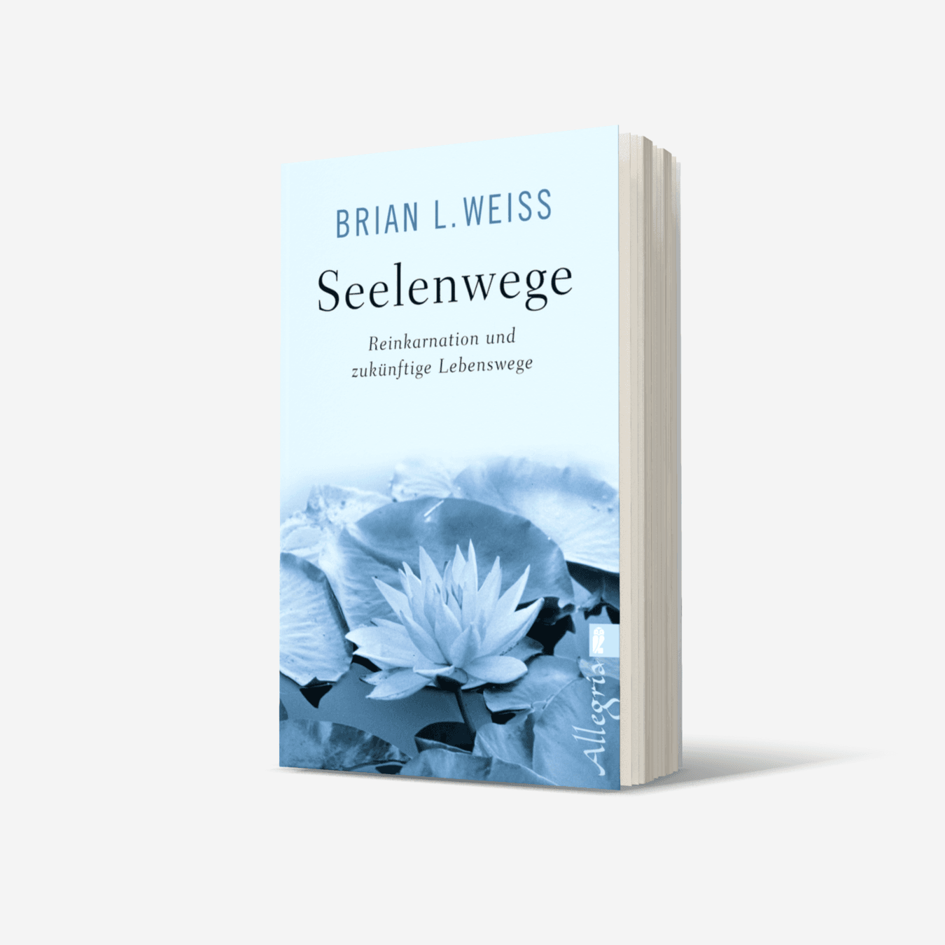 Buchcover von Seelenwege