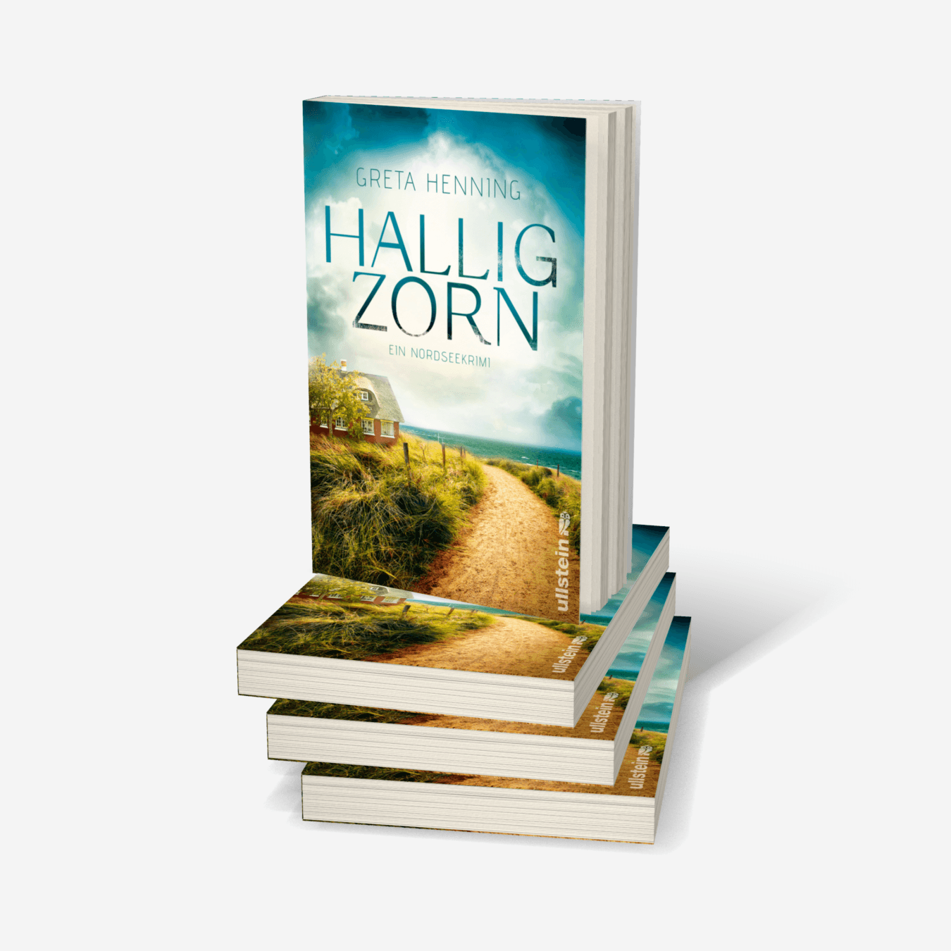 Buchcover von Halligzorn (Ein Minke-van-Hoorn-Krimi 2)