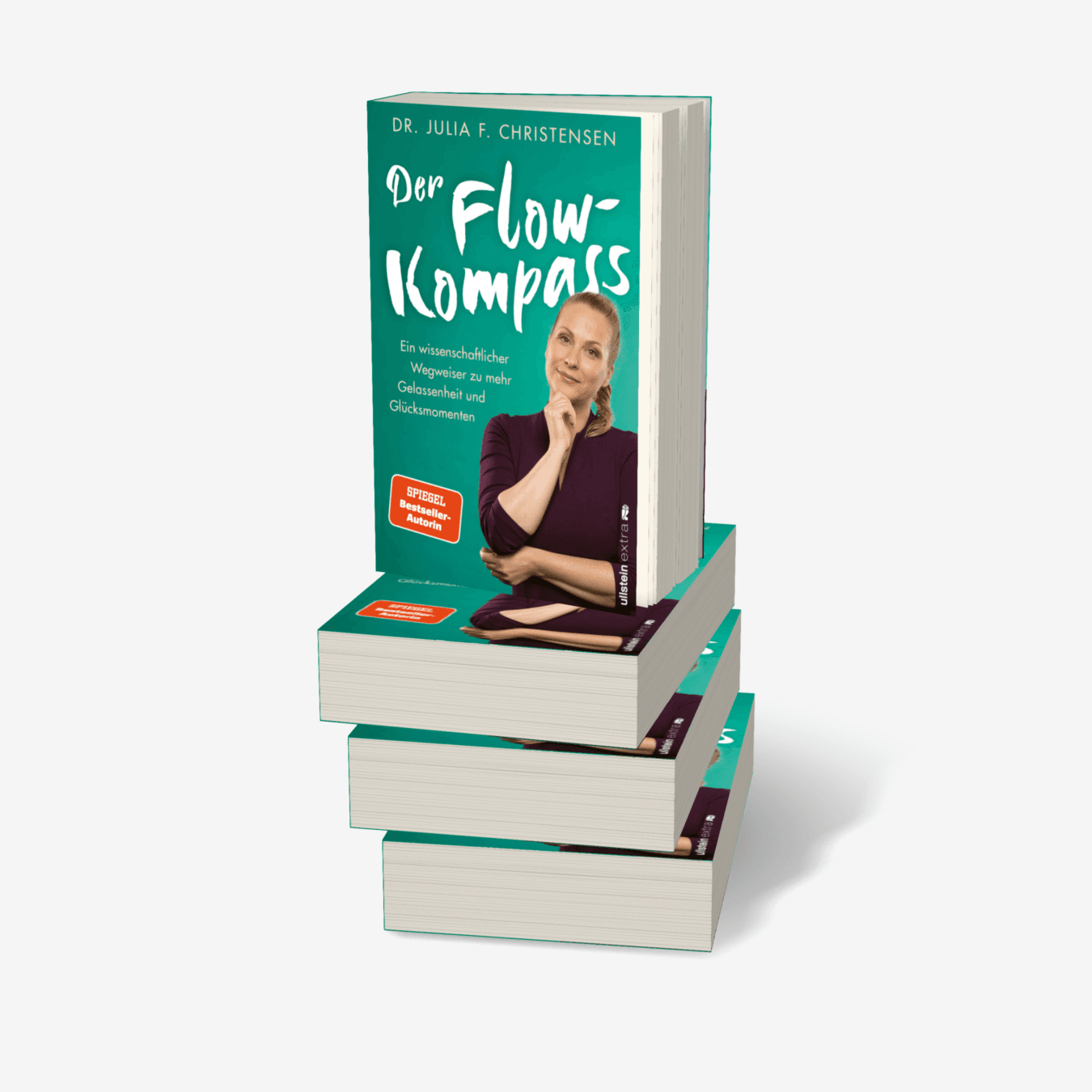 Buchcover von Der Flow-Kompass