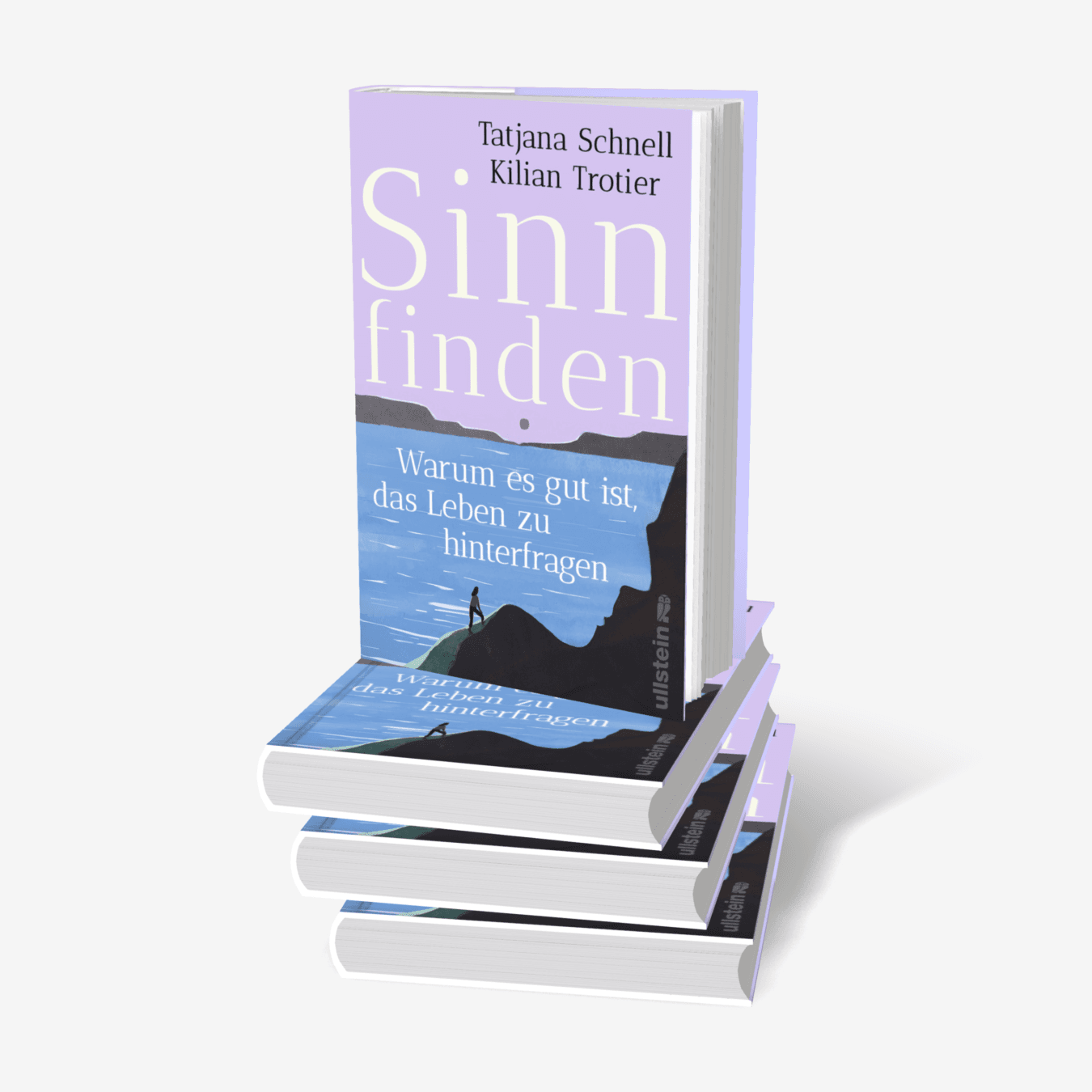 Buchcover von Sinn finden