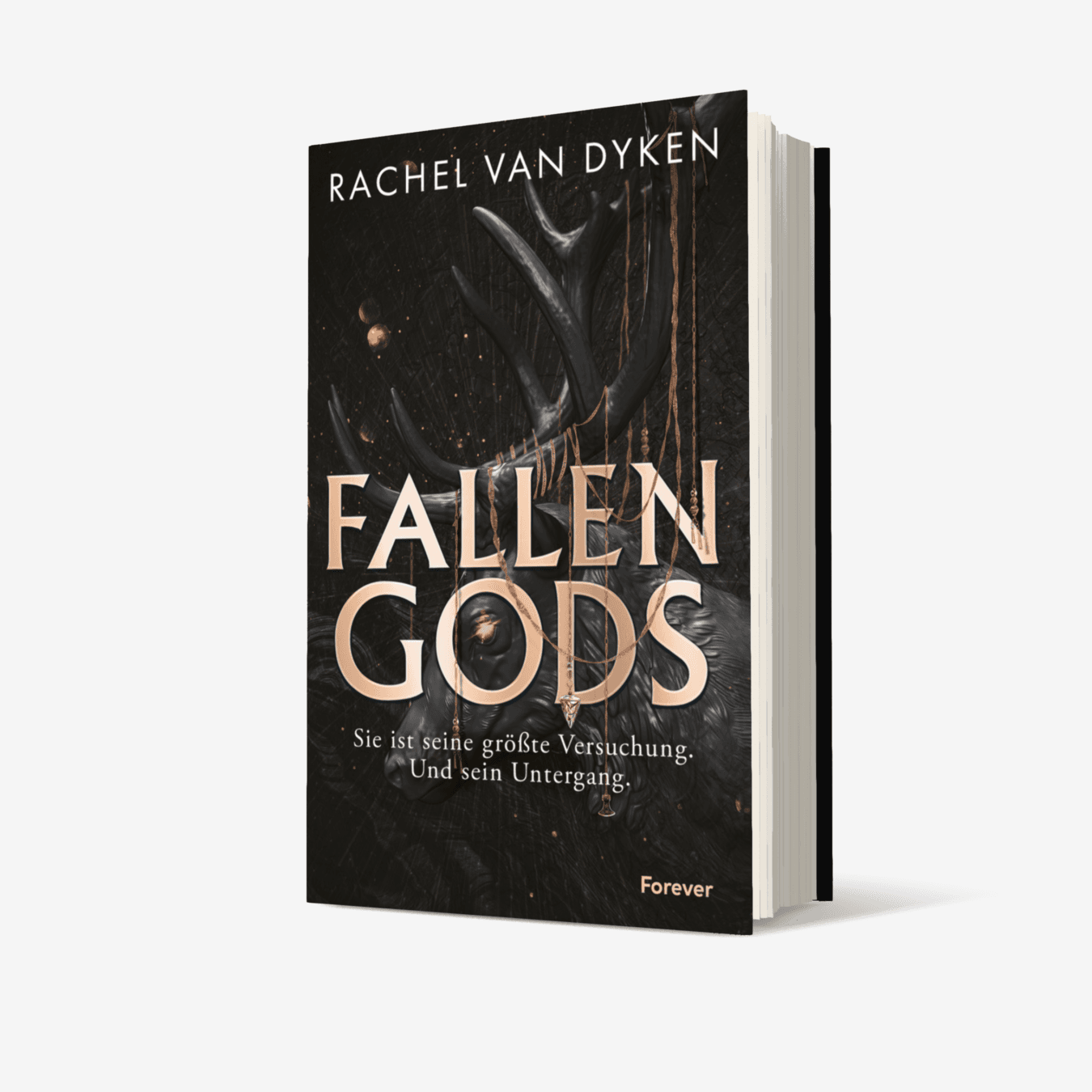 Buchcover von Fallen Gods (Fallen Gods 1)