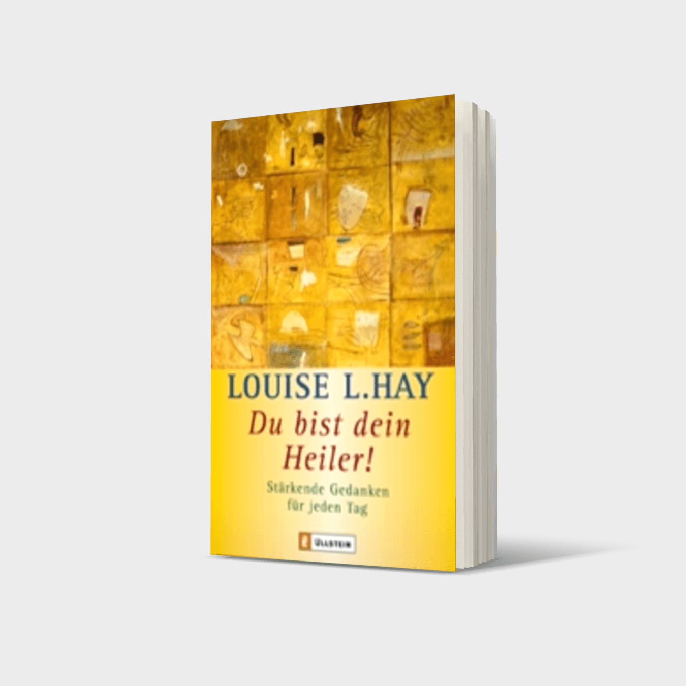 Buchcover von Du bist dein Heiler!