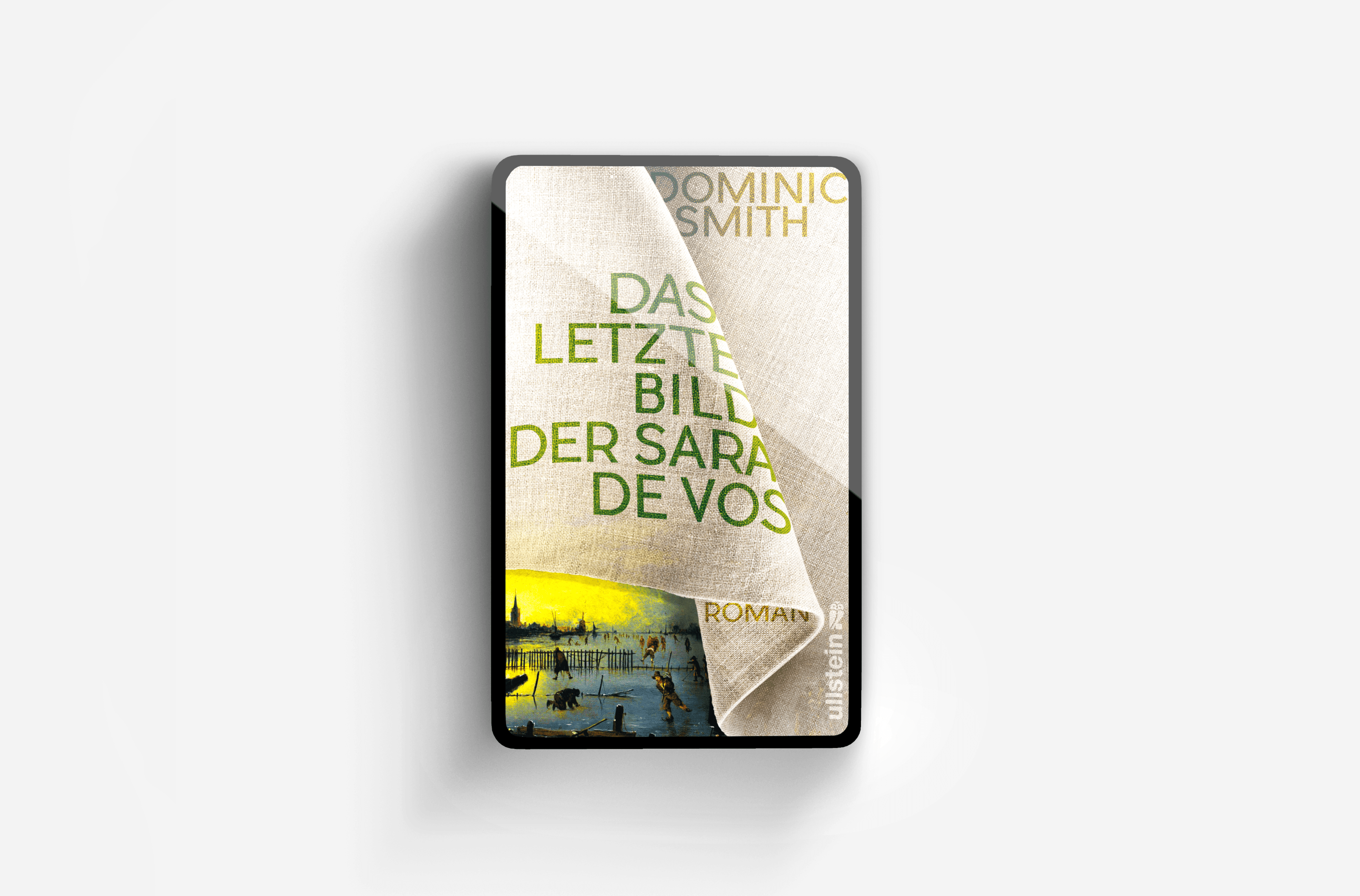 Buchcover von Das letzte Bild der Sara de Vos