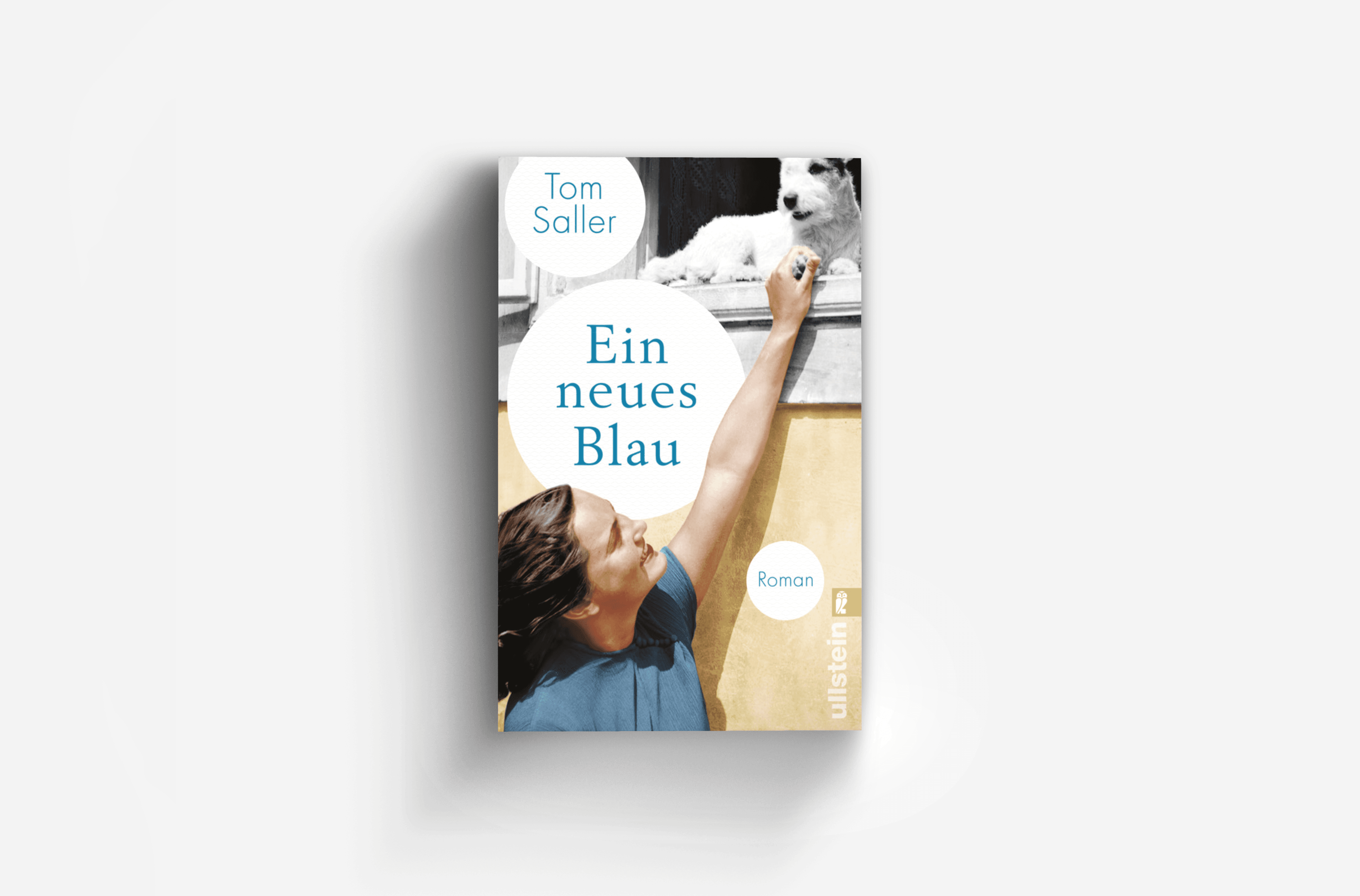 Buchcover von Ein neues Blau