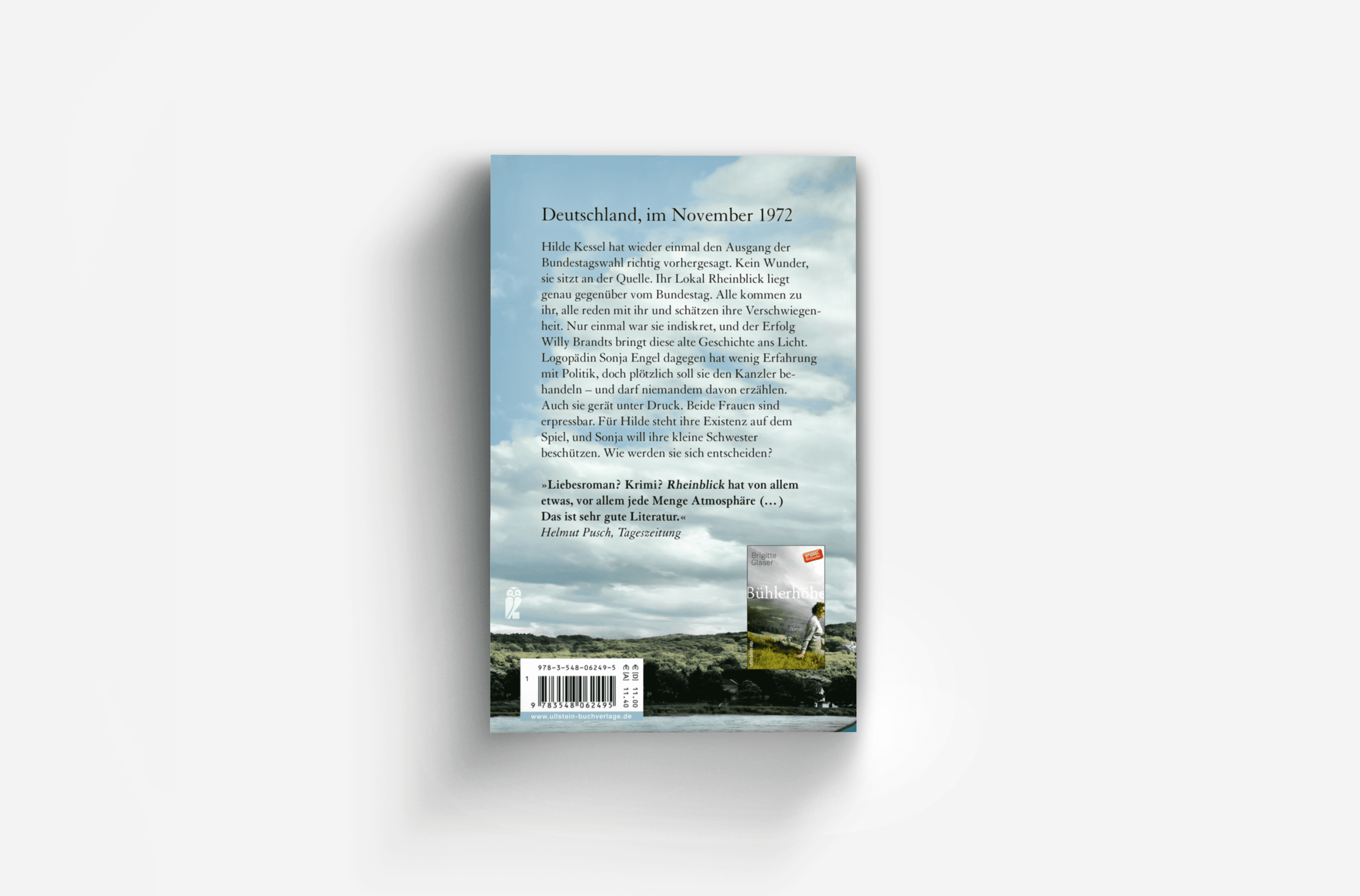 Buchcover von Rheinblick