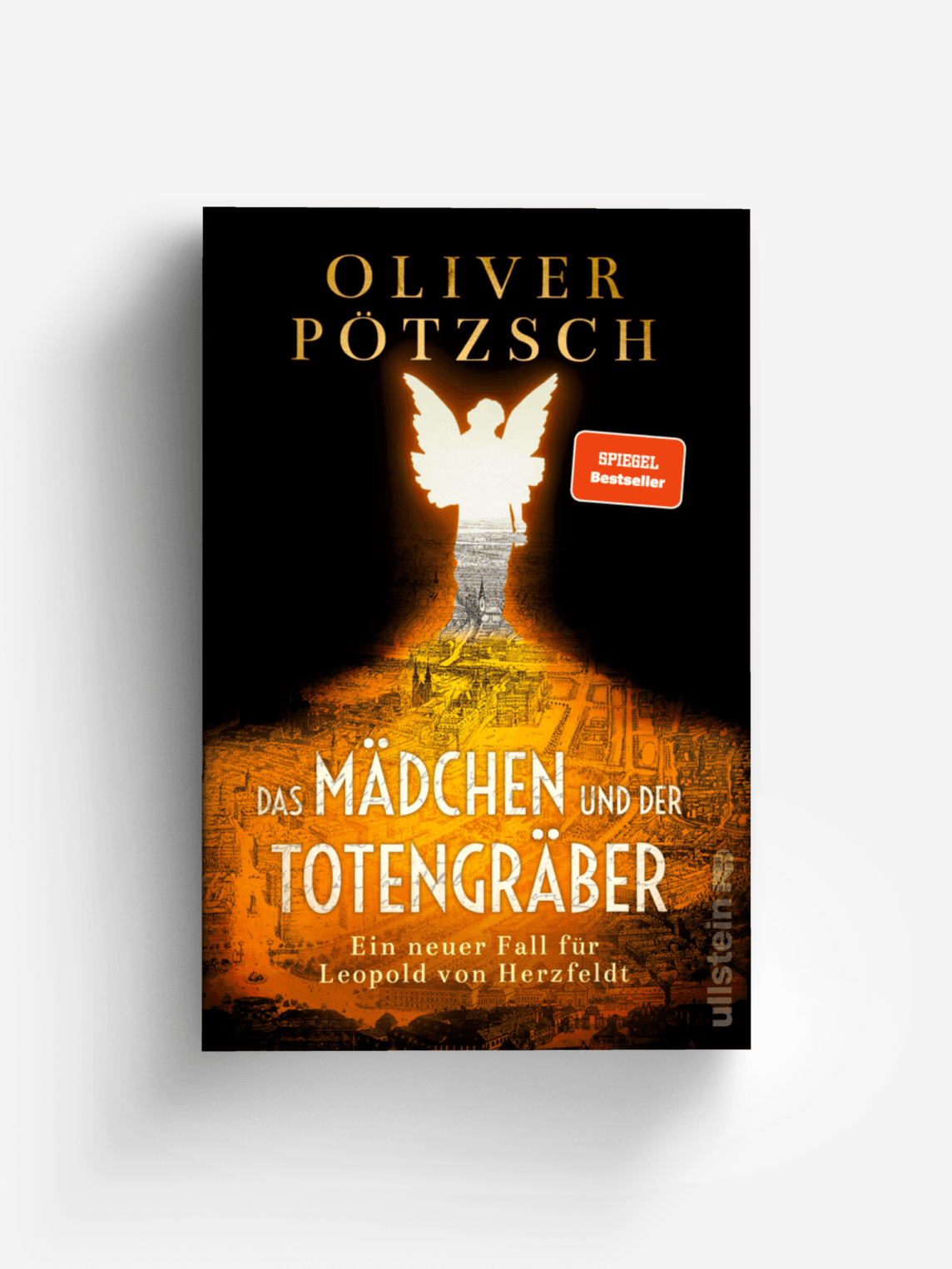 Das Mädchen und der Totengräber (Die Totengräber-Serie 2)