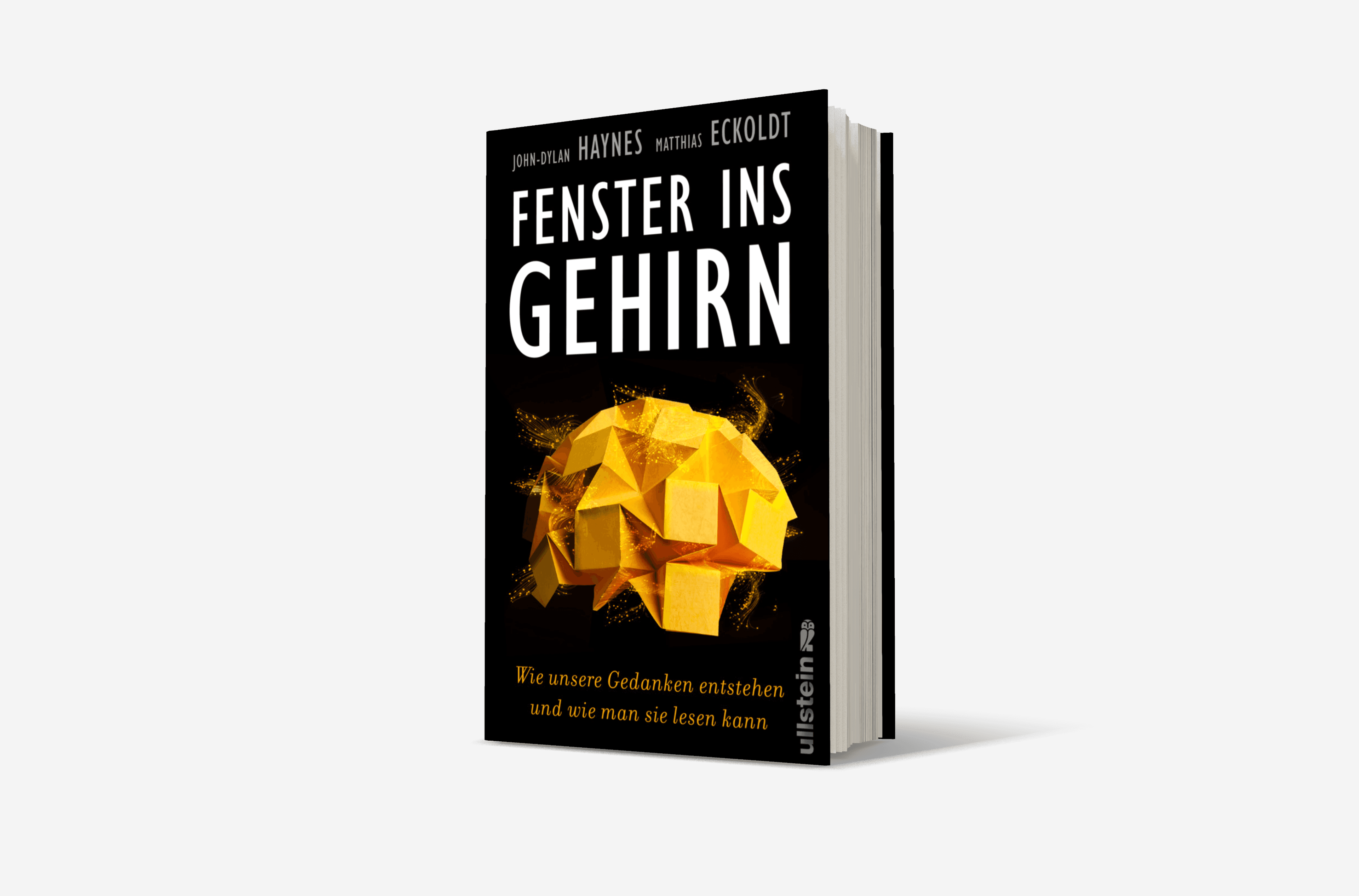 Buchcover von Fenster ins Gehirn