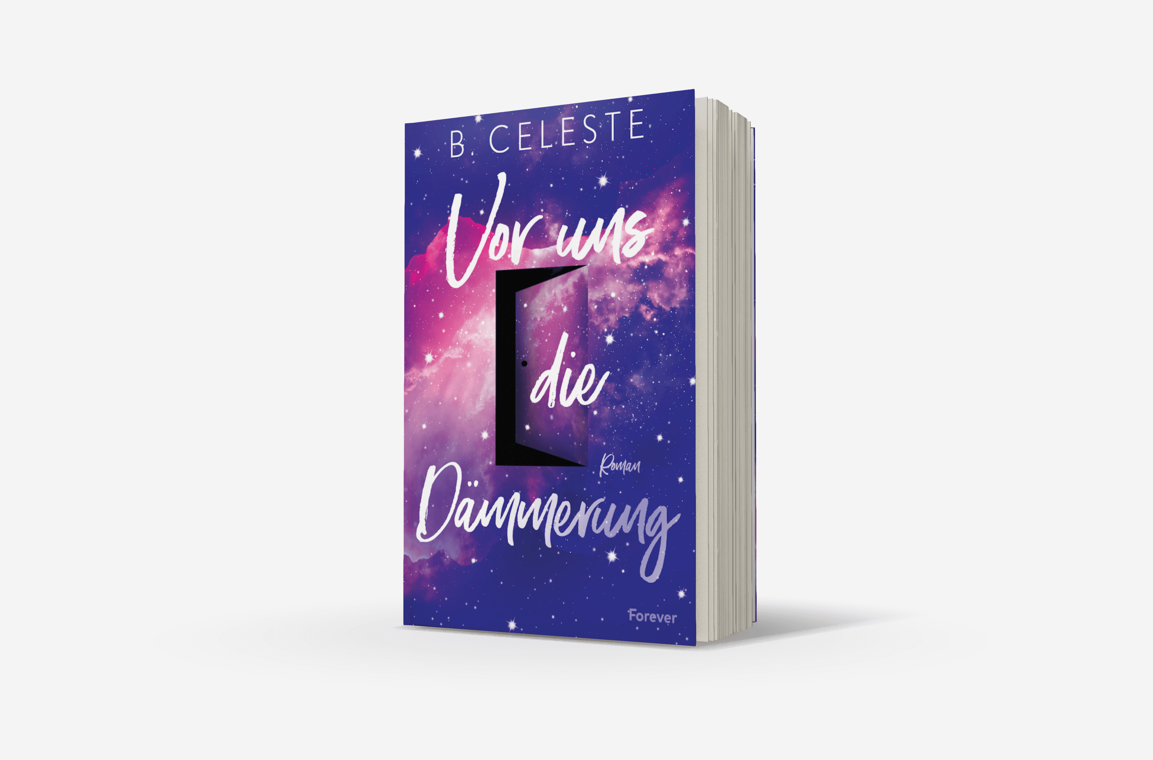 Buchcover von Vor uns die Dämmerung